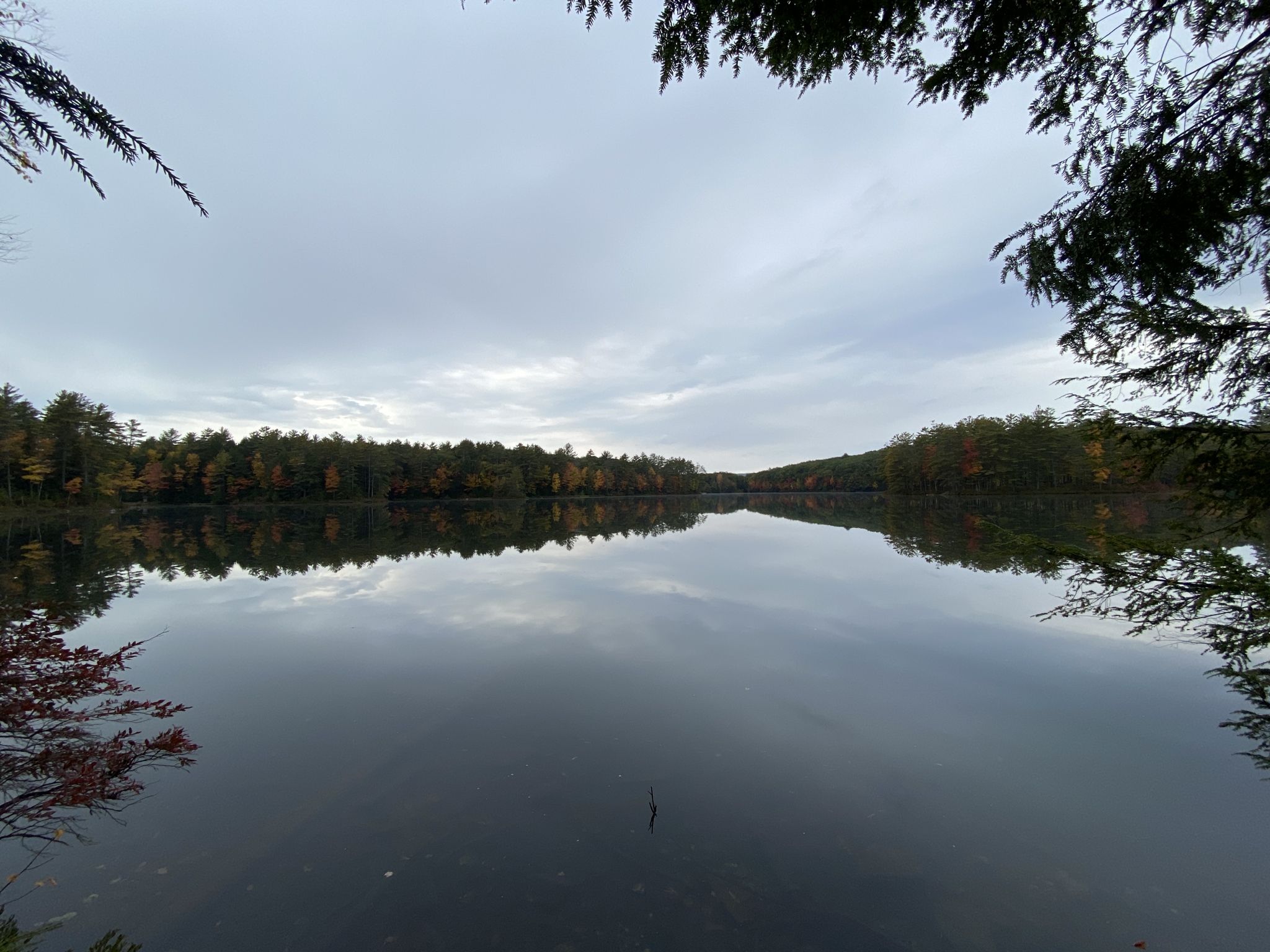 Serene lake reflecting a cloudy sky and distant autumn trees on a calm day. - Goose Pond loop