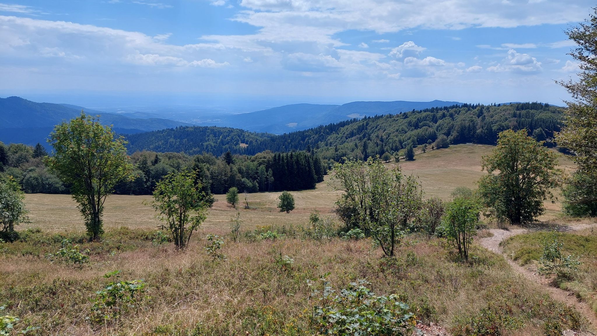 Vue panoramique