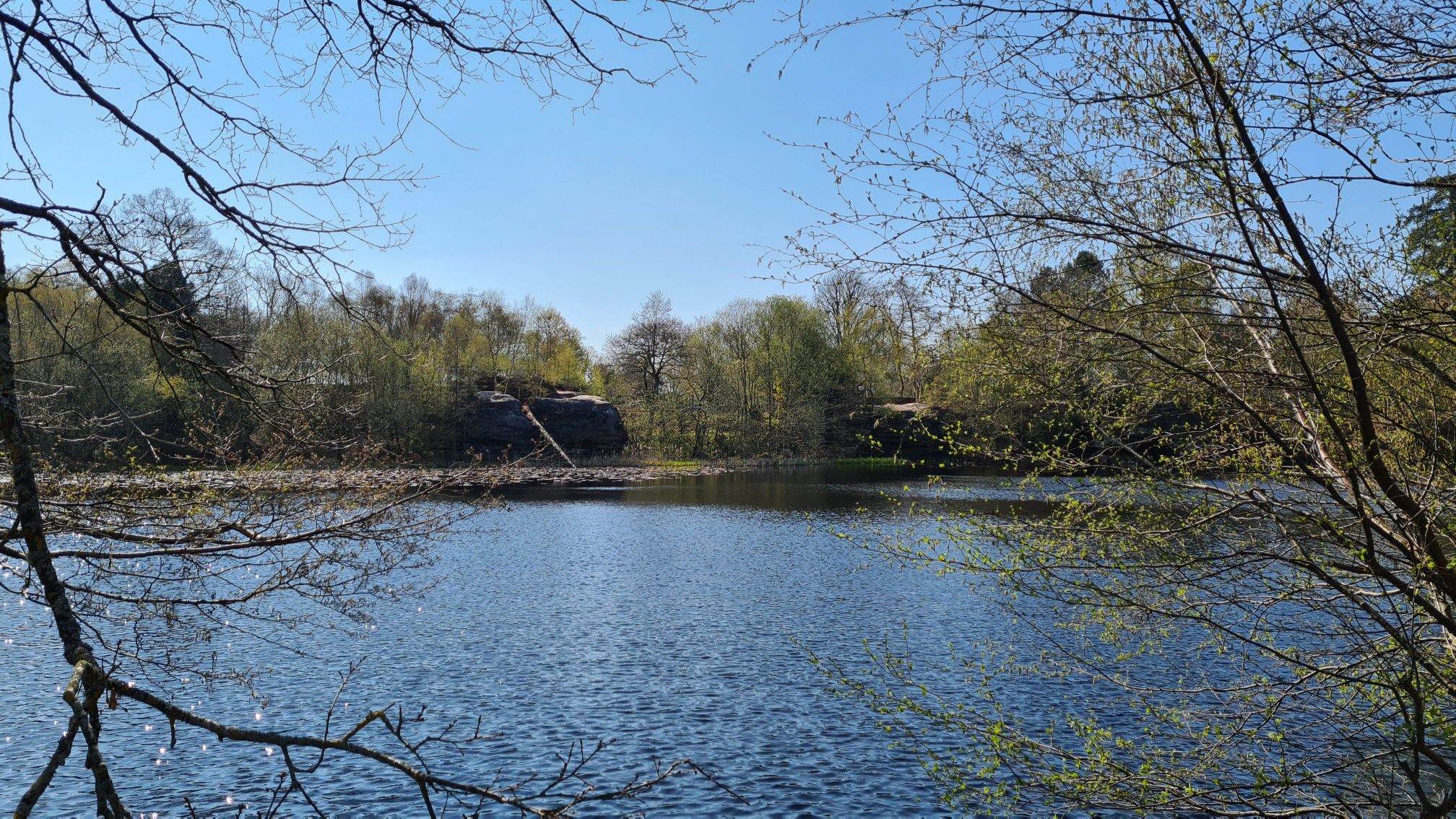 Pond