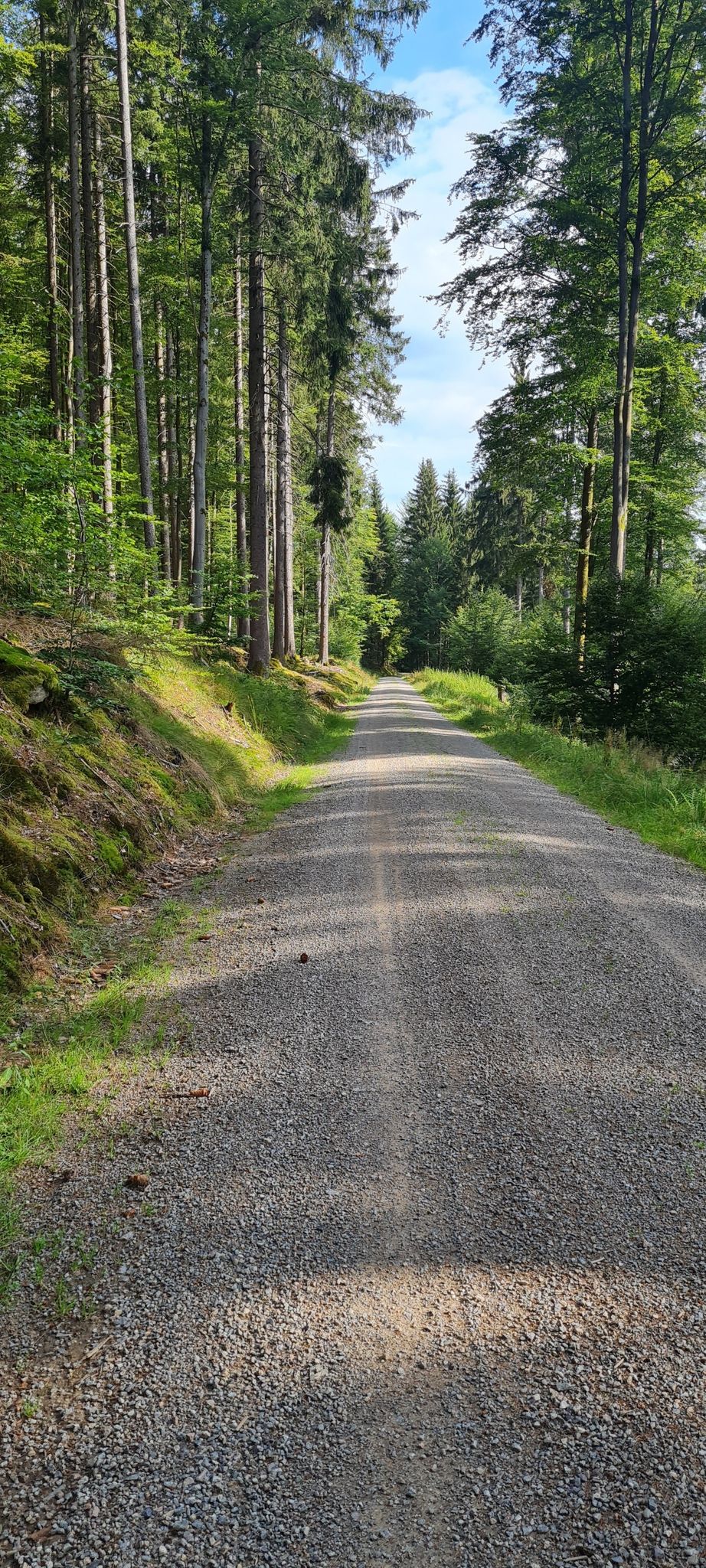 Schöner Forstweg