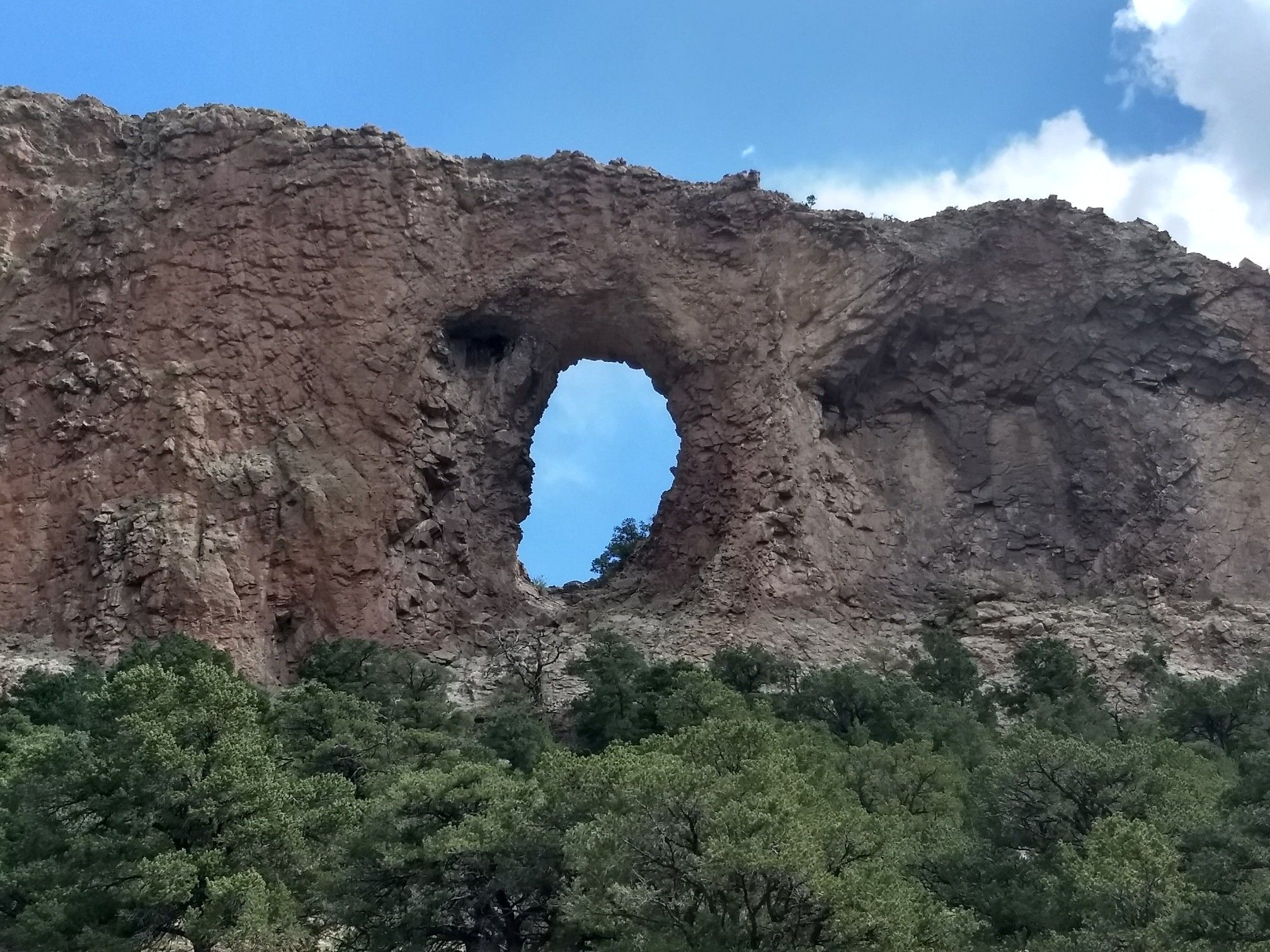 A massive natural rock arch dominates a cliff face above green trees. - La Garita Arch