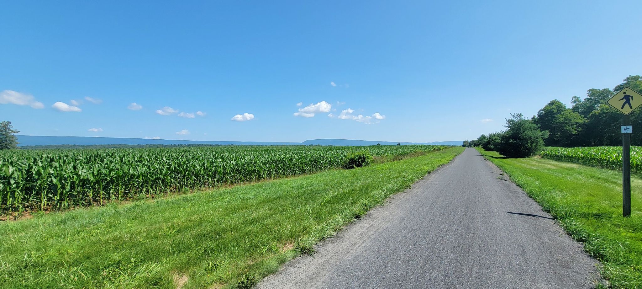 Long paved path through a green cornfield under a bright blue sky. - Cumberland Valley Rail Trail