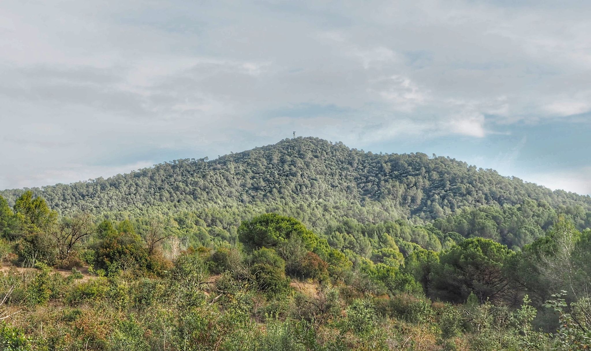 Puig Madrona des del camí de Roques Blanques