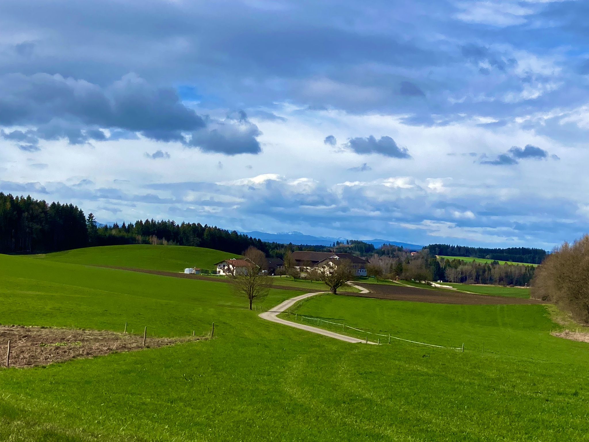Traumhafte Sträßchen 😊