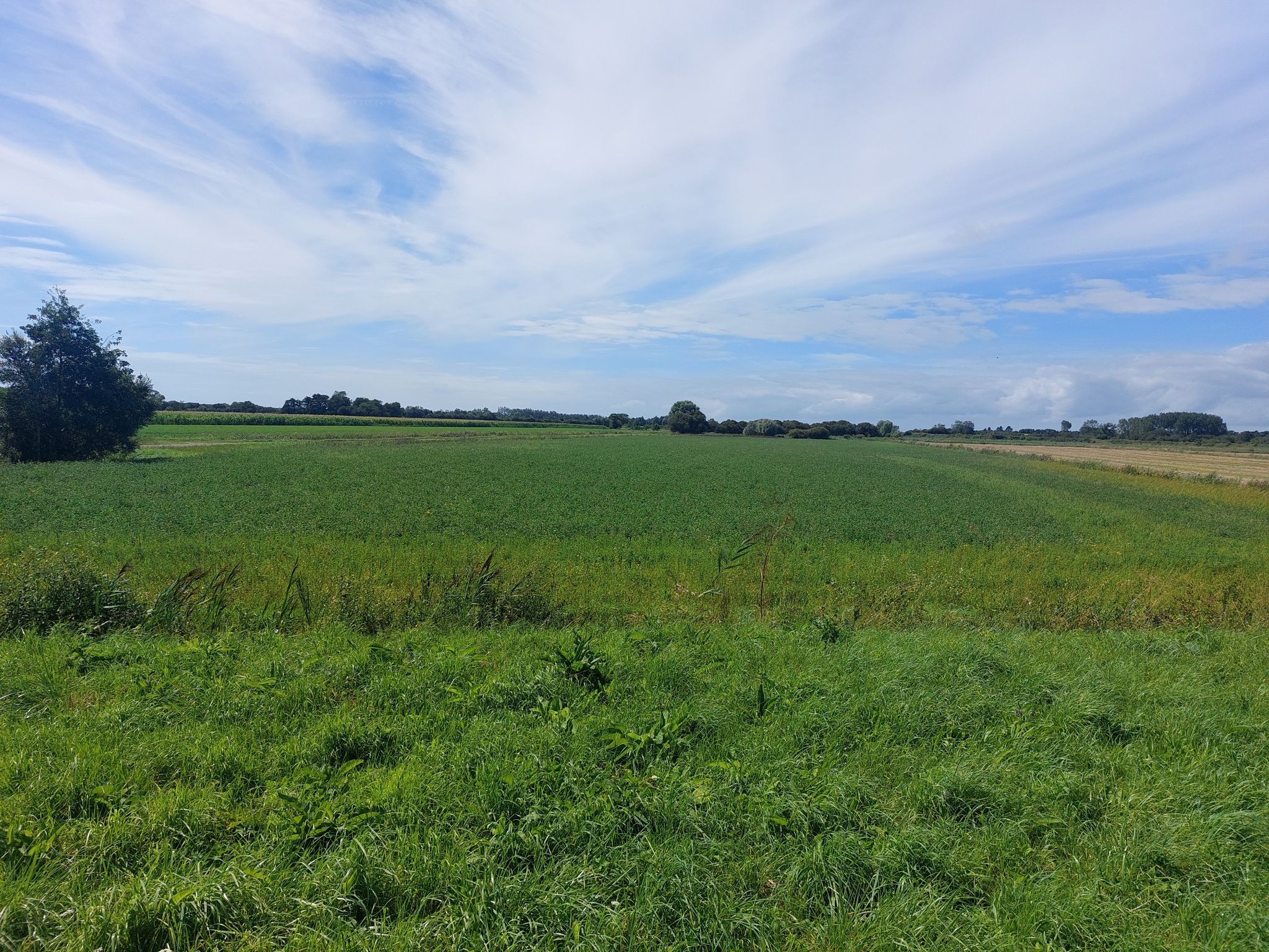 De polders