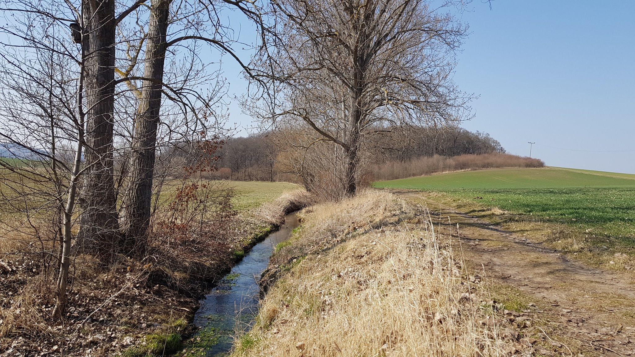 Entlang der Bachschleife
