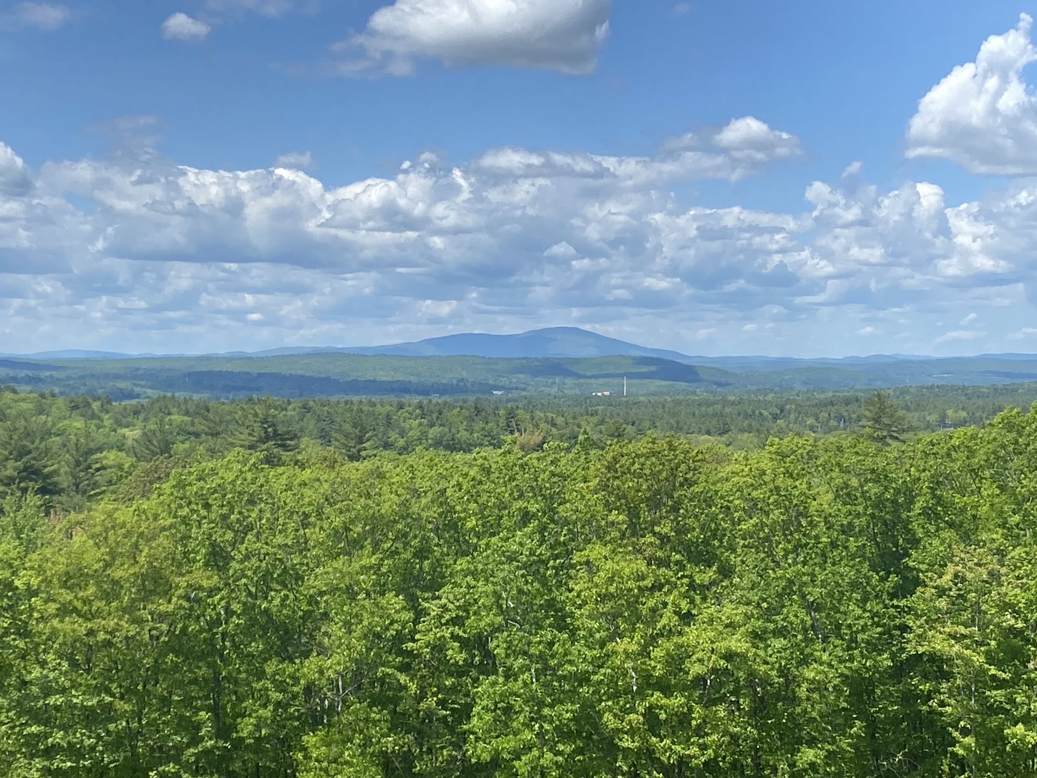 Expansive view of a vibrant green forest canopy under a bright blue sky with clouds. - Oak Hill Lower Trails Loop