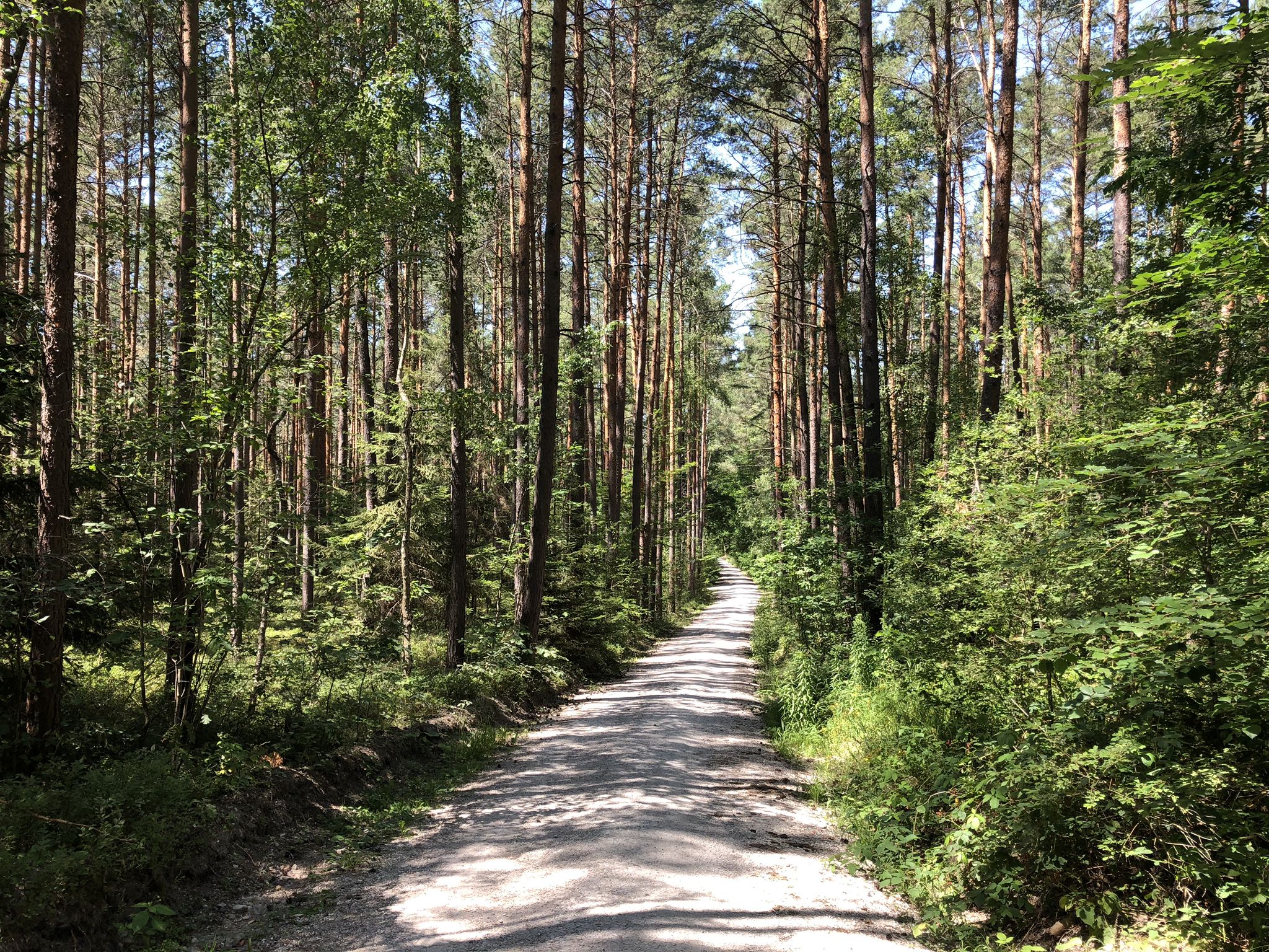 Waldweg nach Egersdorf