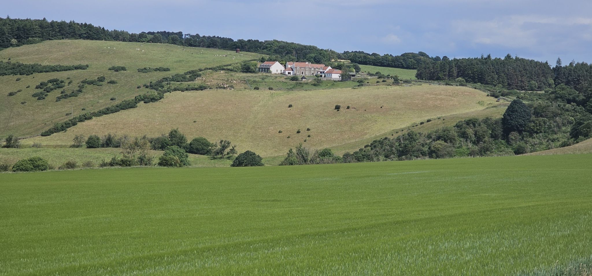 Farm