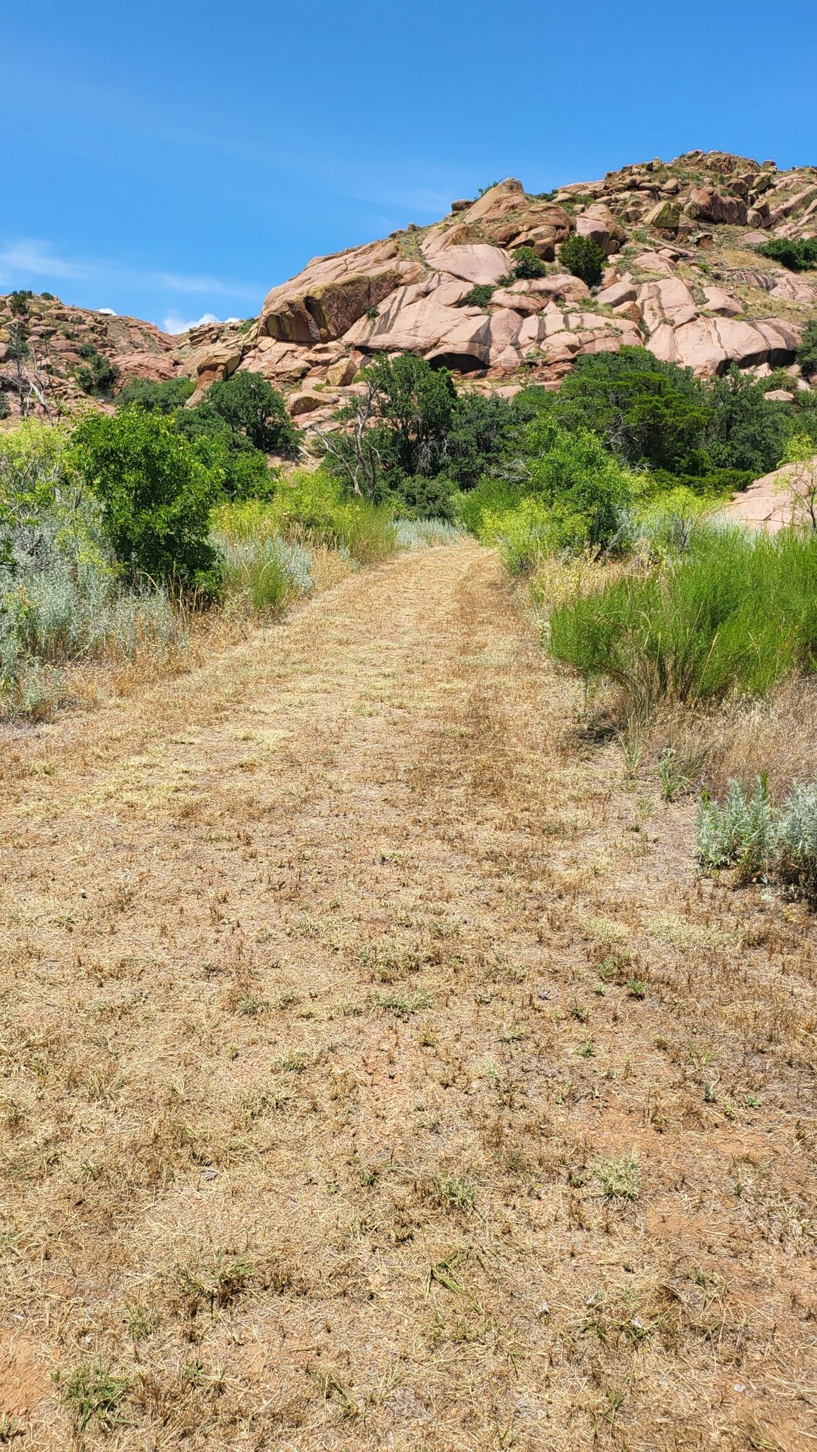 A dry grassy path leads towards a large rocky mountain under blue sky. - Quartz Mountain