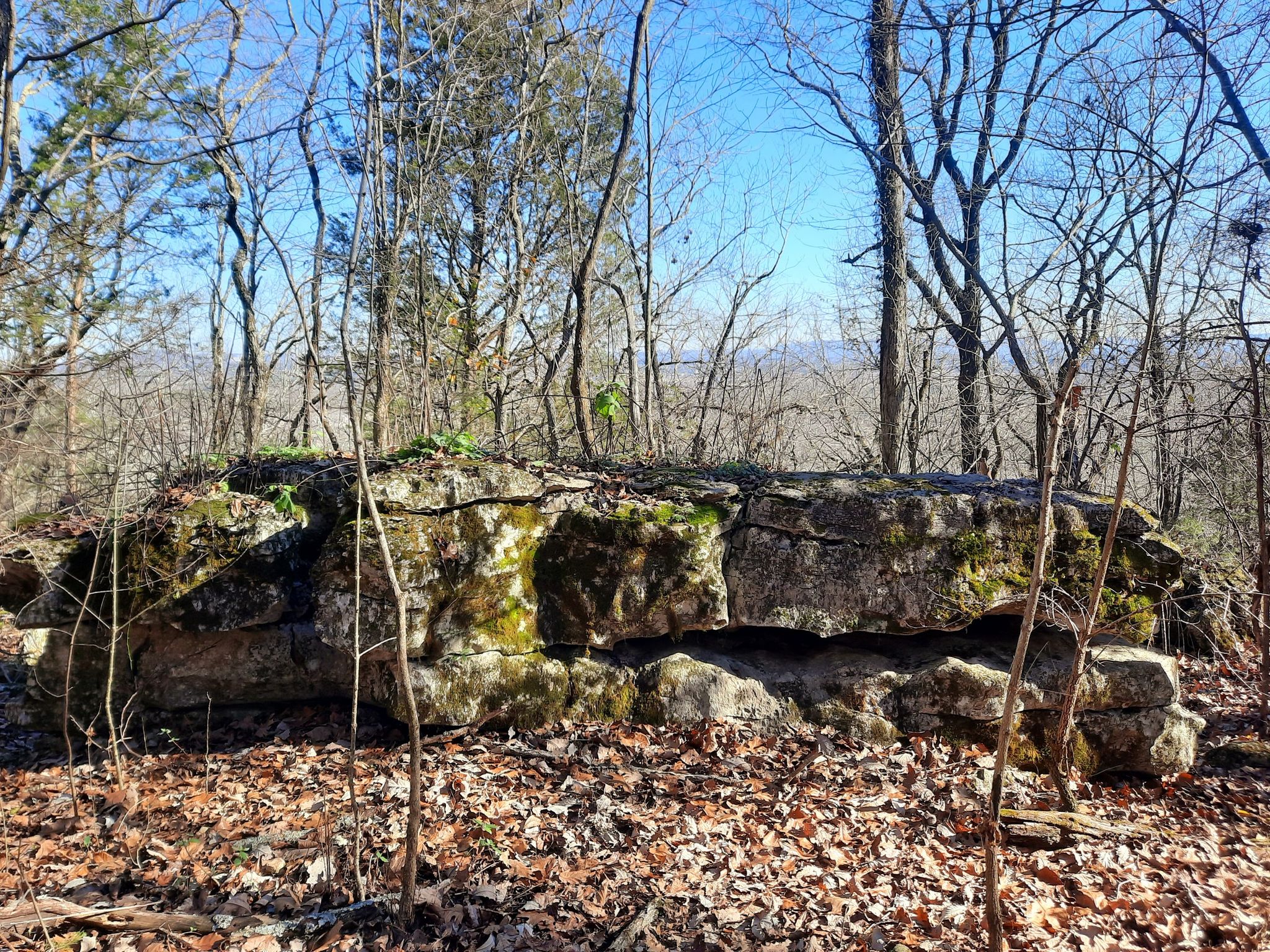 Large mossy rock outcrop in a sunny forest with bare trees. - Rainbow Loop Trail