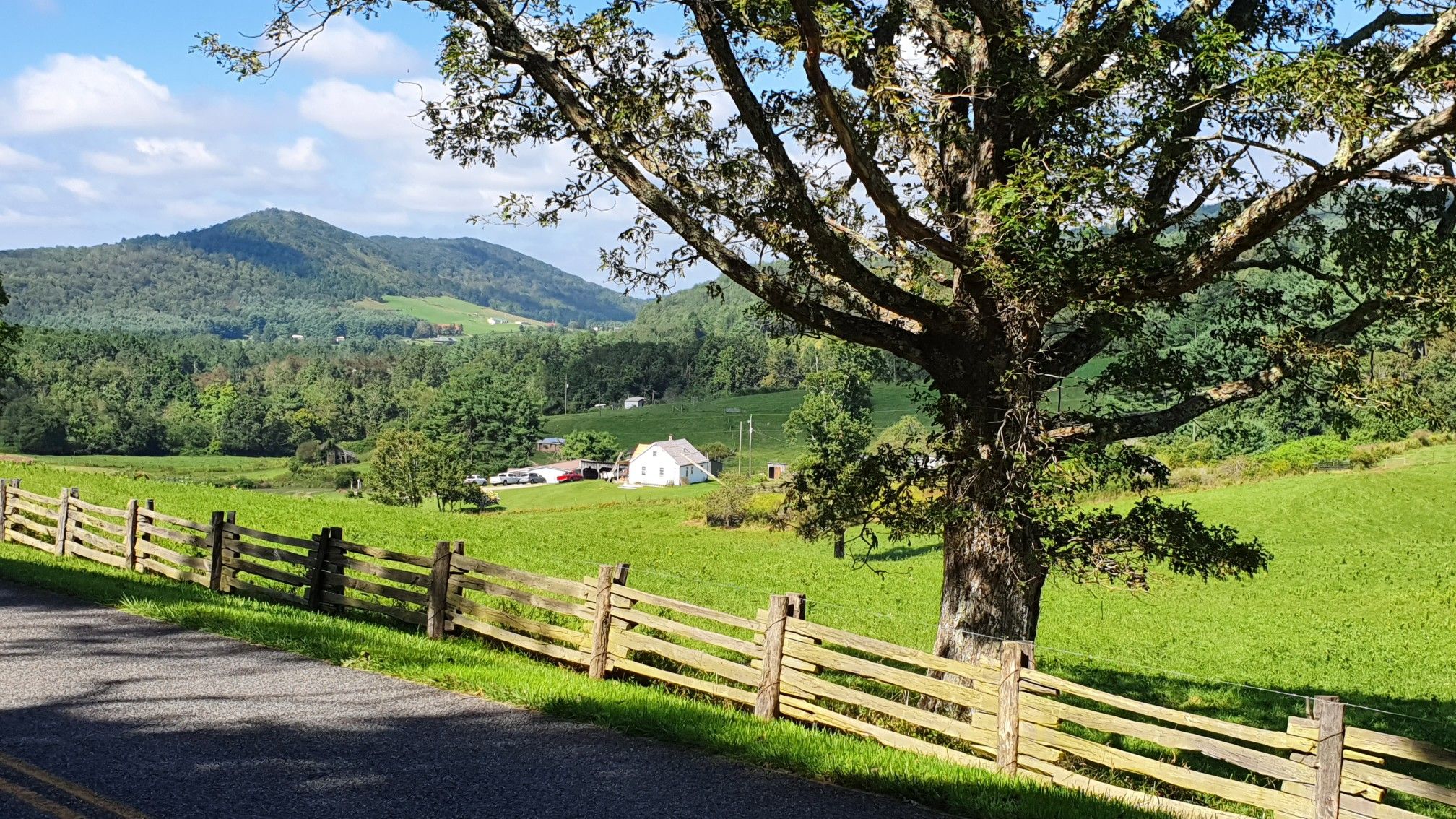 A large tree and wooden fence overlook green fields and a distant farmhouse. - Round Meadow Creek to Mabry Mill & Rocky Knob