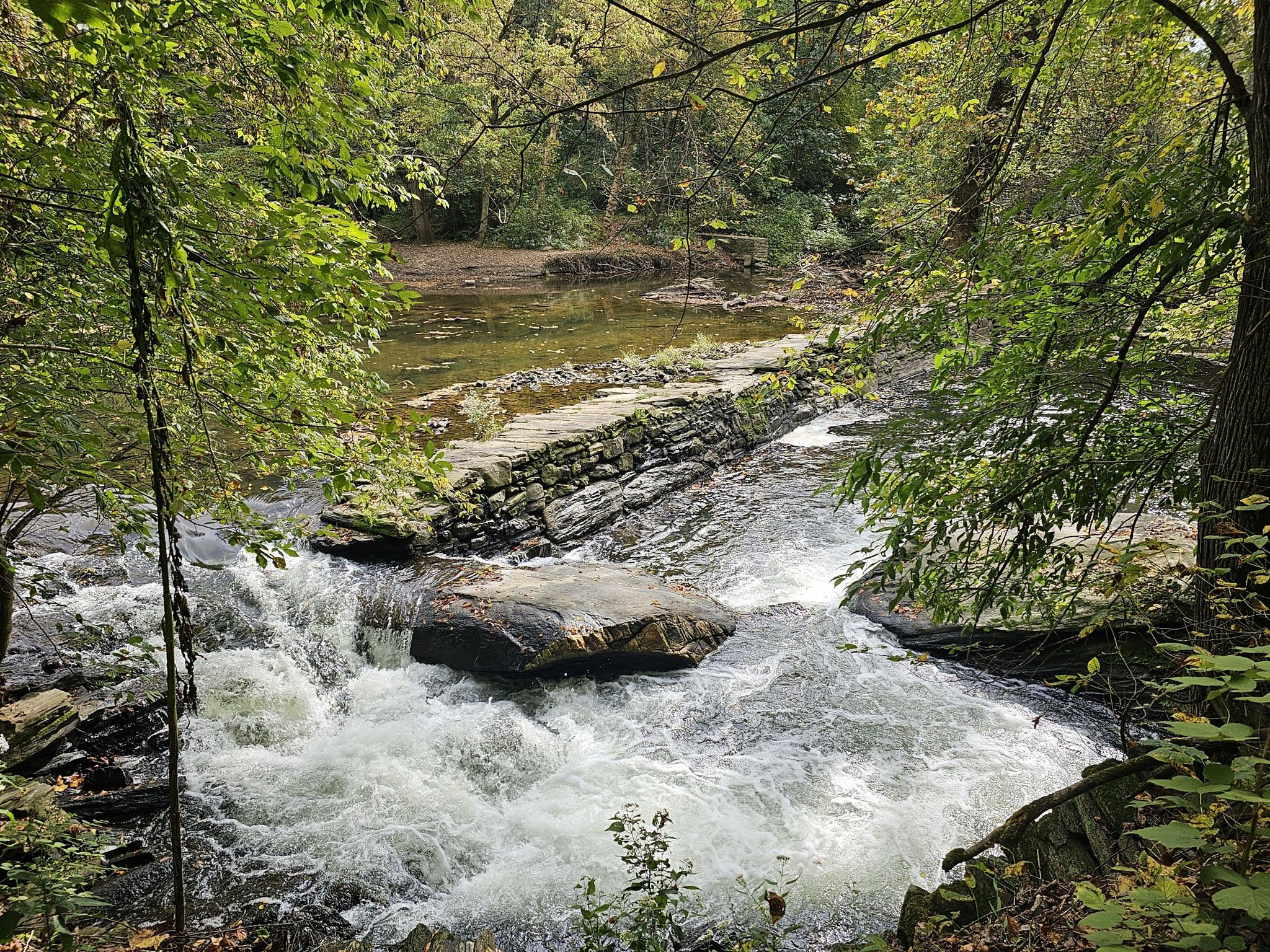 Rushing river with rocks and small waterfalls, dense green trees. - Wissahickon Creek Waterfall loop from Woodmere Art Museum