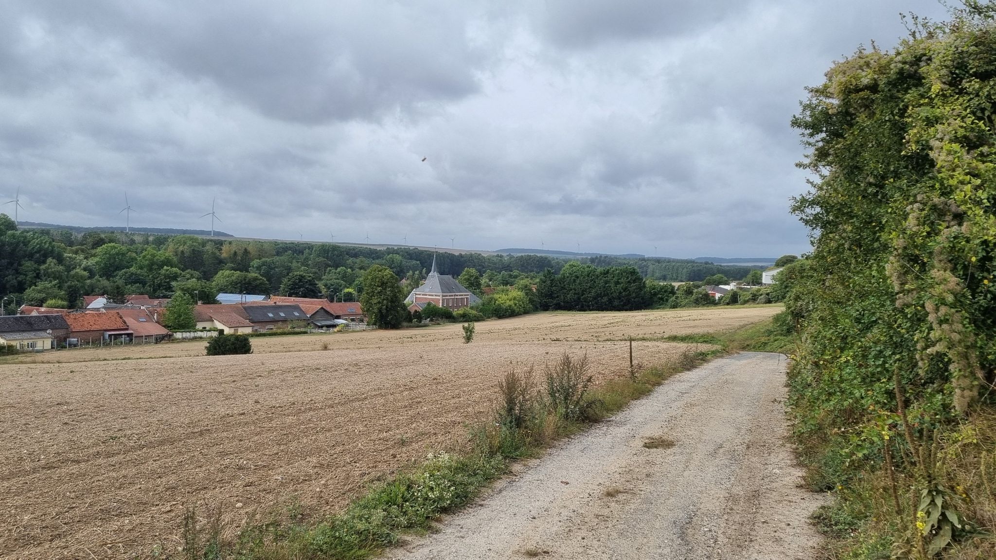 Je vais enfin trouver des zones abritées du vent dans la vallée ! / I'm finally going to find some sheltered areas in the valley!