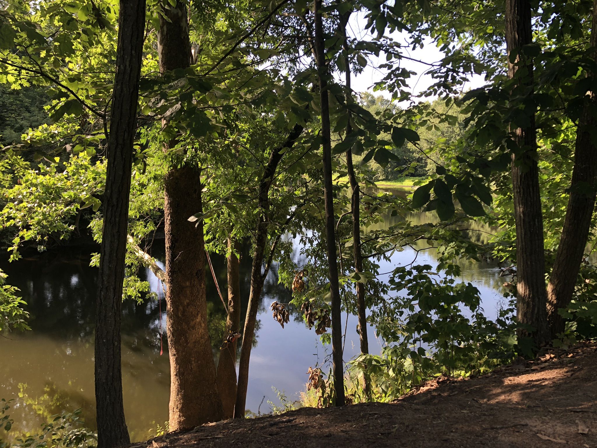 Sunlight filters through trees, revealing a calm body of water. - West Hartford Reservoir No. 1 – Pinchot Sycamore loop from West Hartford
