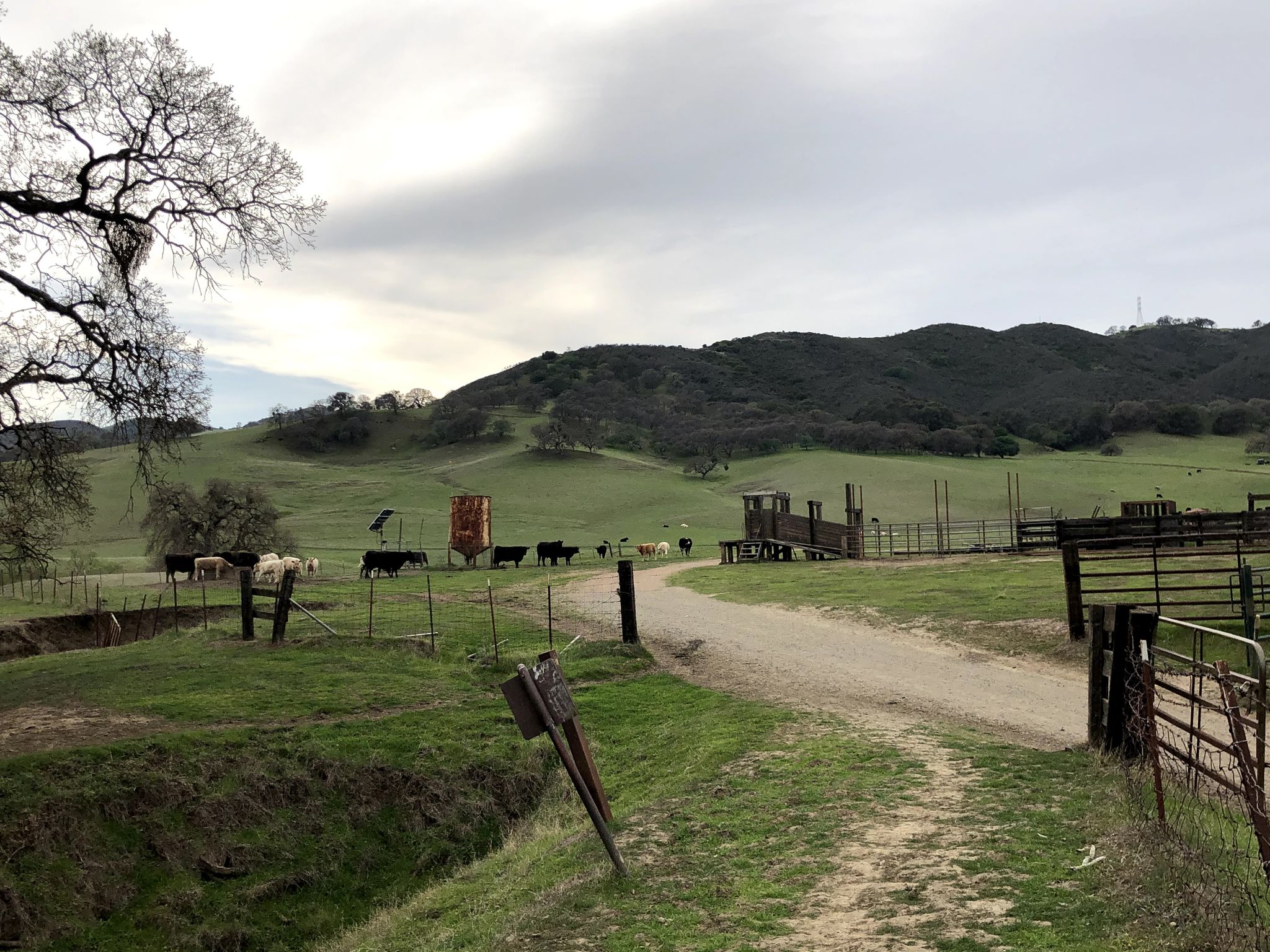 Dirt road through green hills with cattle and farm structures under an overcast sky. - Star Mine Trail