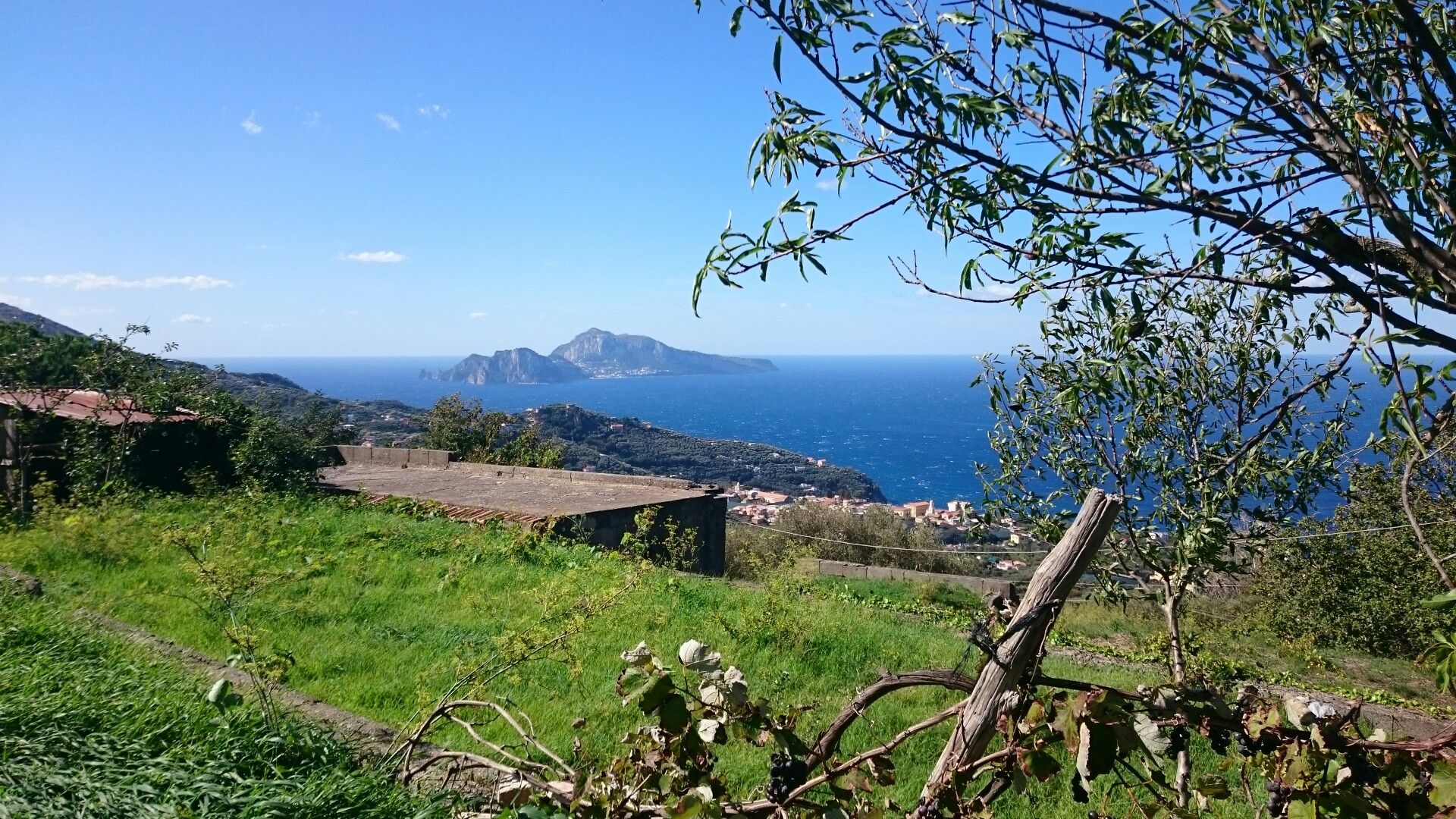 Capri