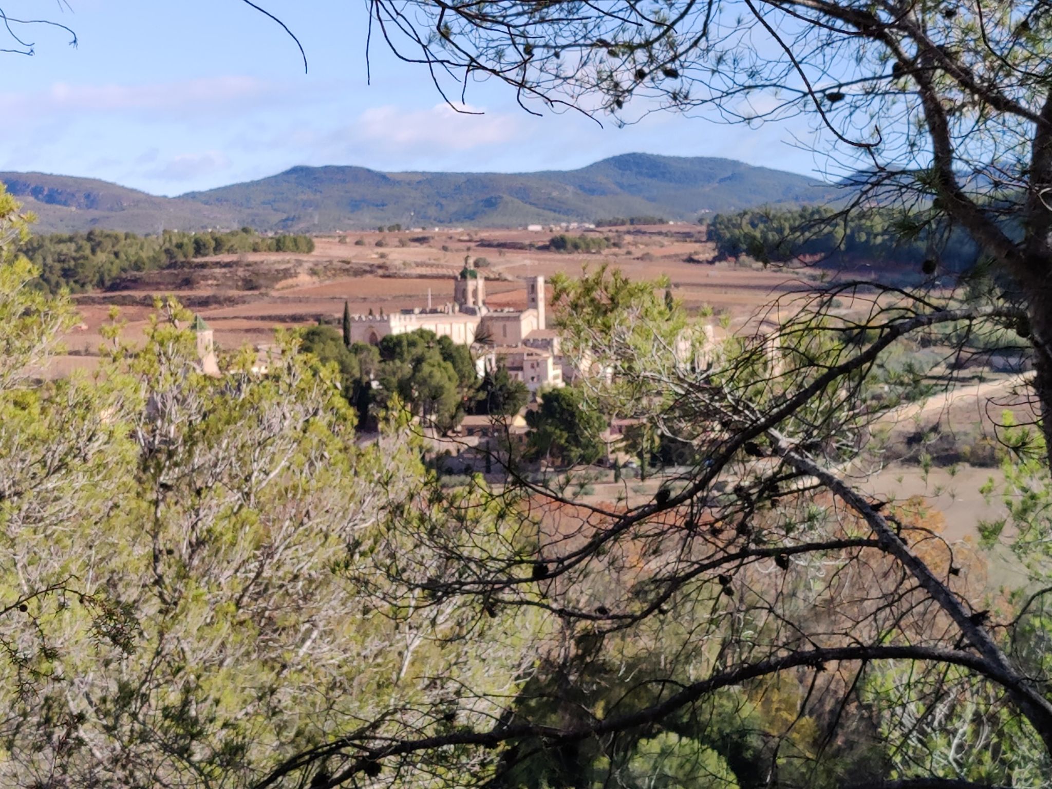Monestir de Santes Creus