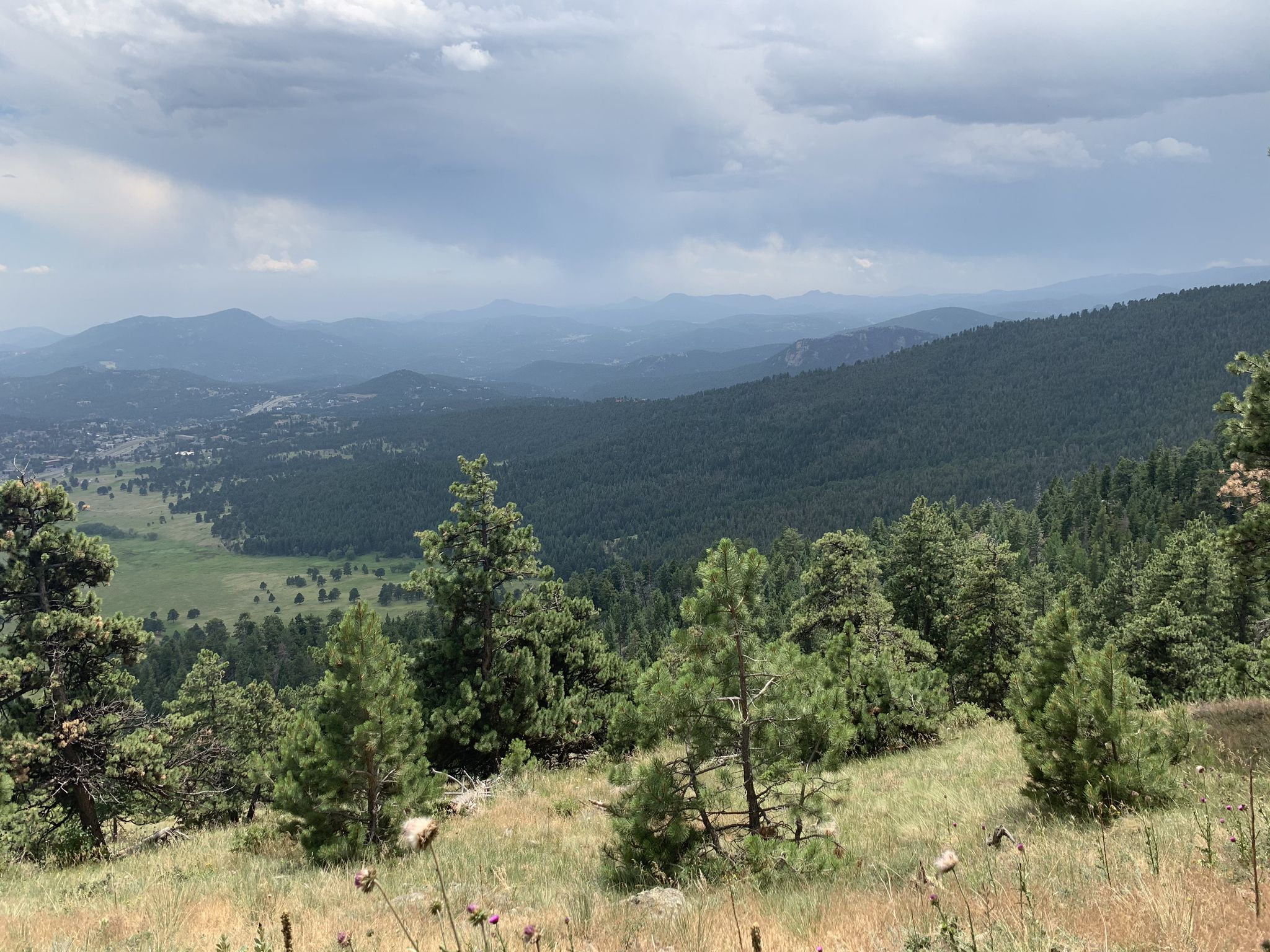 Overcast view of a forested mountain landscape with a valley below. - Bergen Peak via Meadow View and Too Long Trail Loop