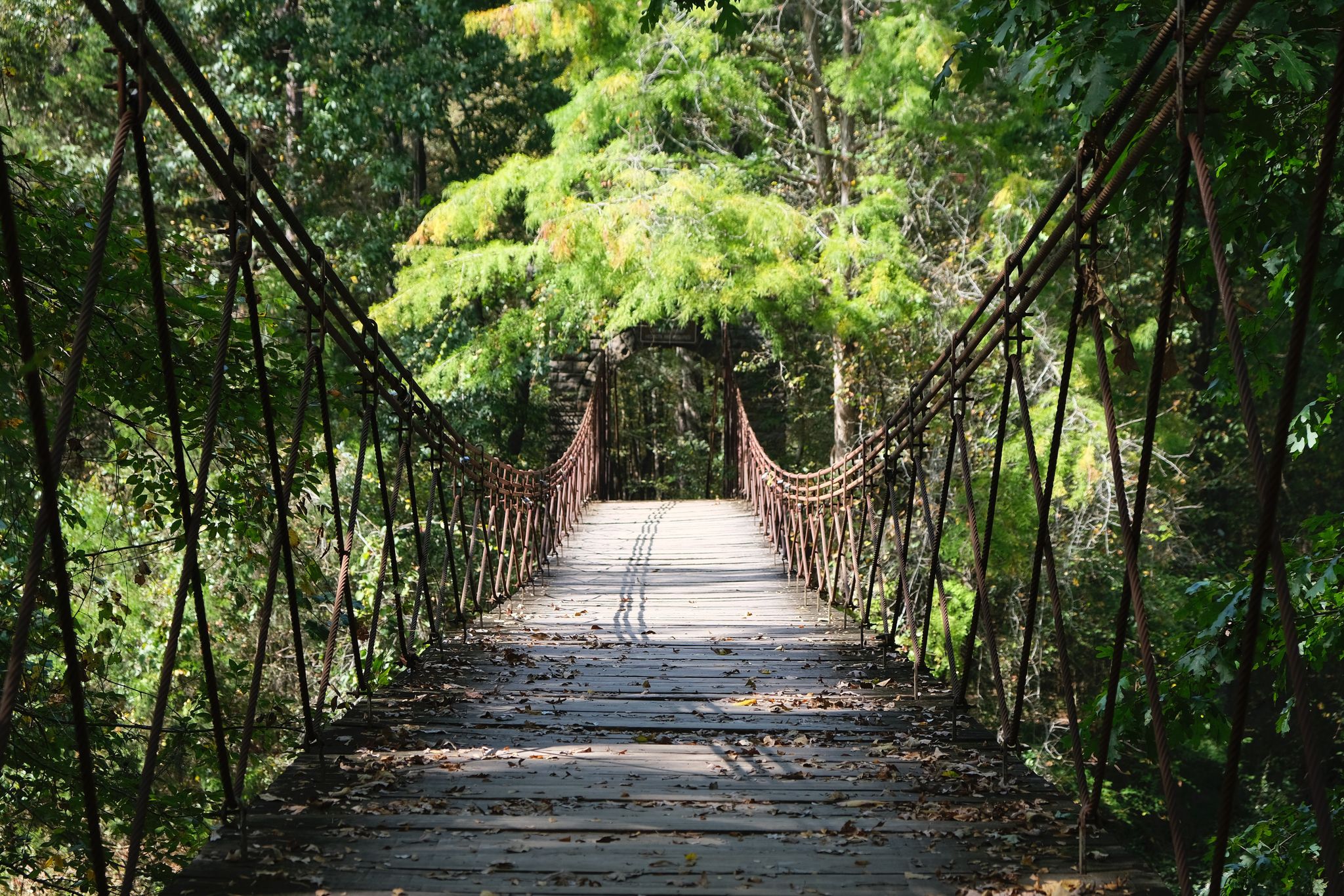 Long wooden suspension bridge through dense green forest, dappled sunlight. - Outcroppings Trail