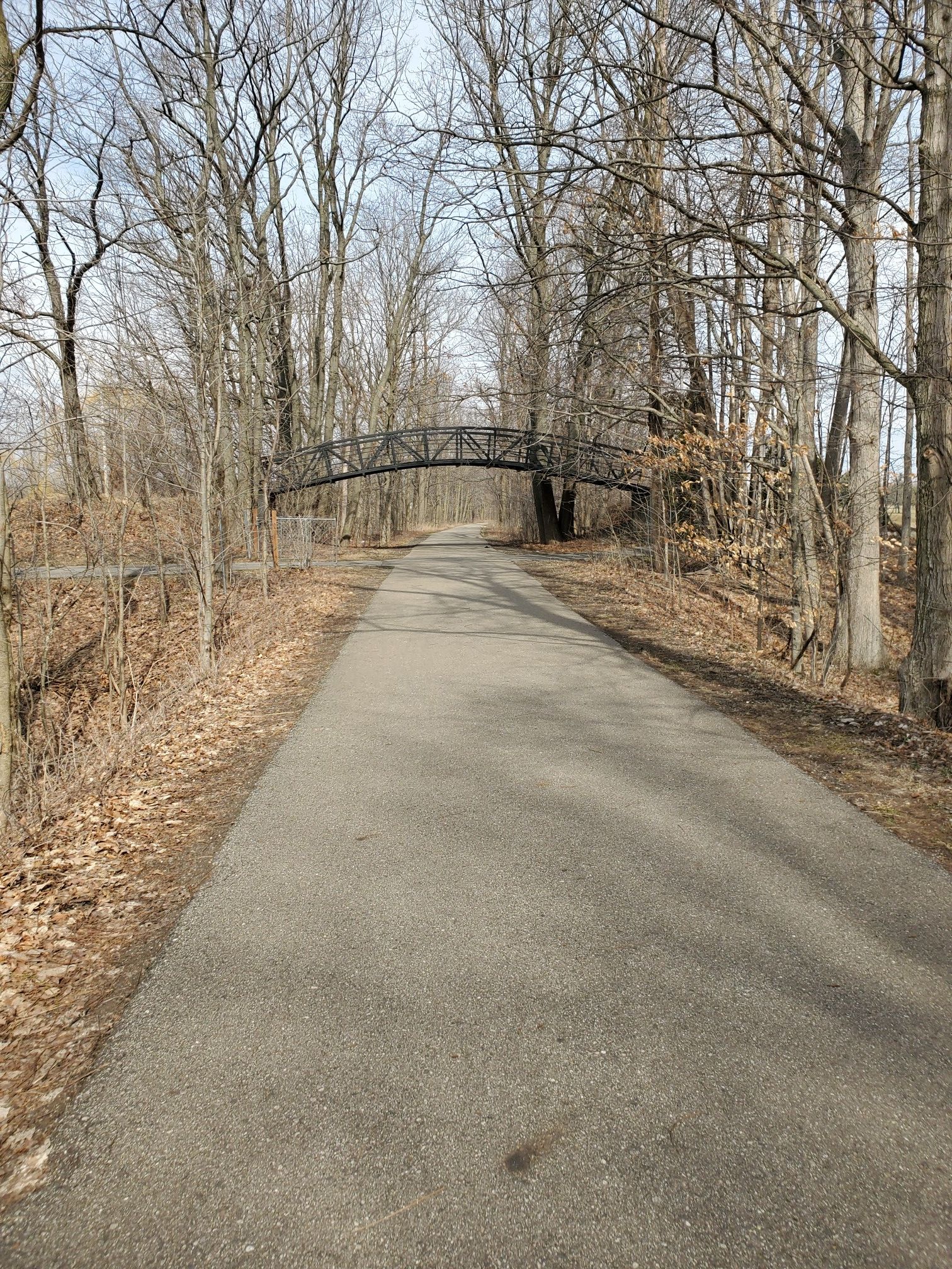Paved path through bare trees with a pedestrian bridge overhead on a clear day. - Kent Trails