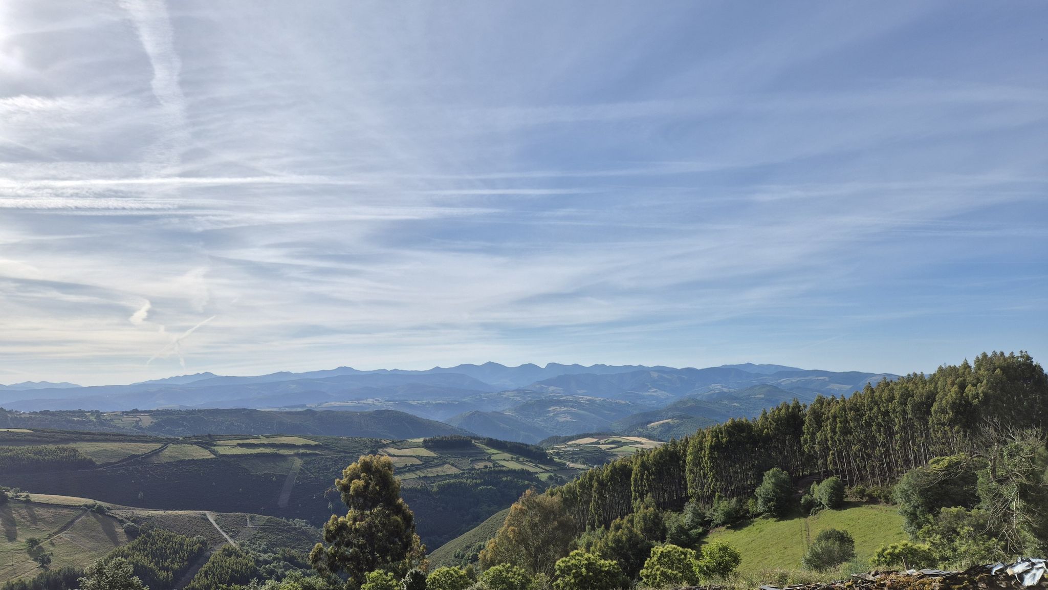 Am Horizont die Gebirgskette an der Grenze zu Asturien u. Kastilien-Leon.