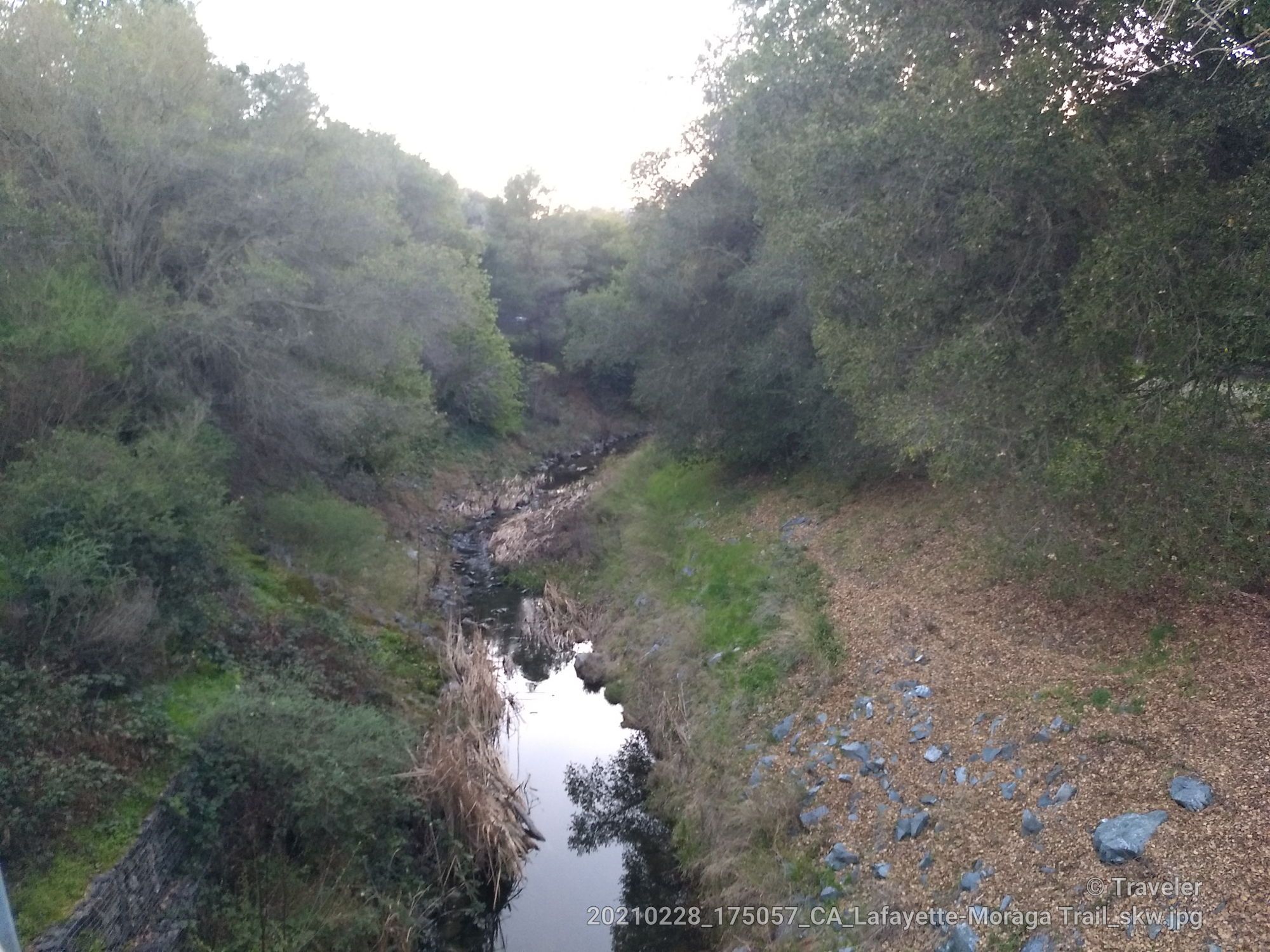 A narrow stream flows through a wooded area with rocky banks at dusk. - Las Trampas Creek bridge loop from Acalanes High School