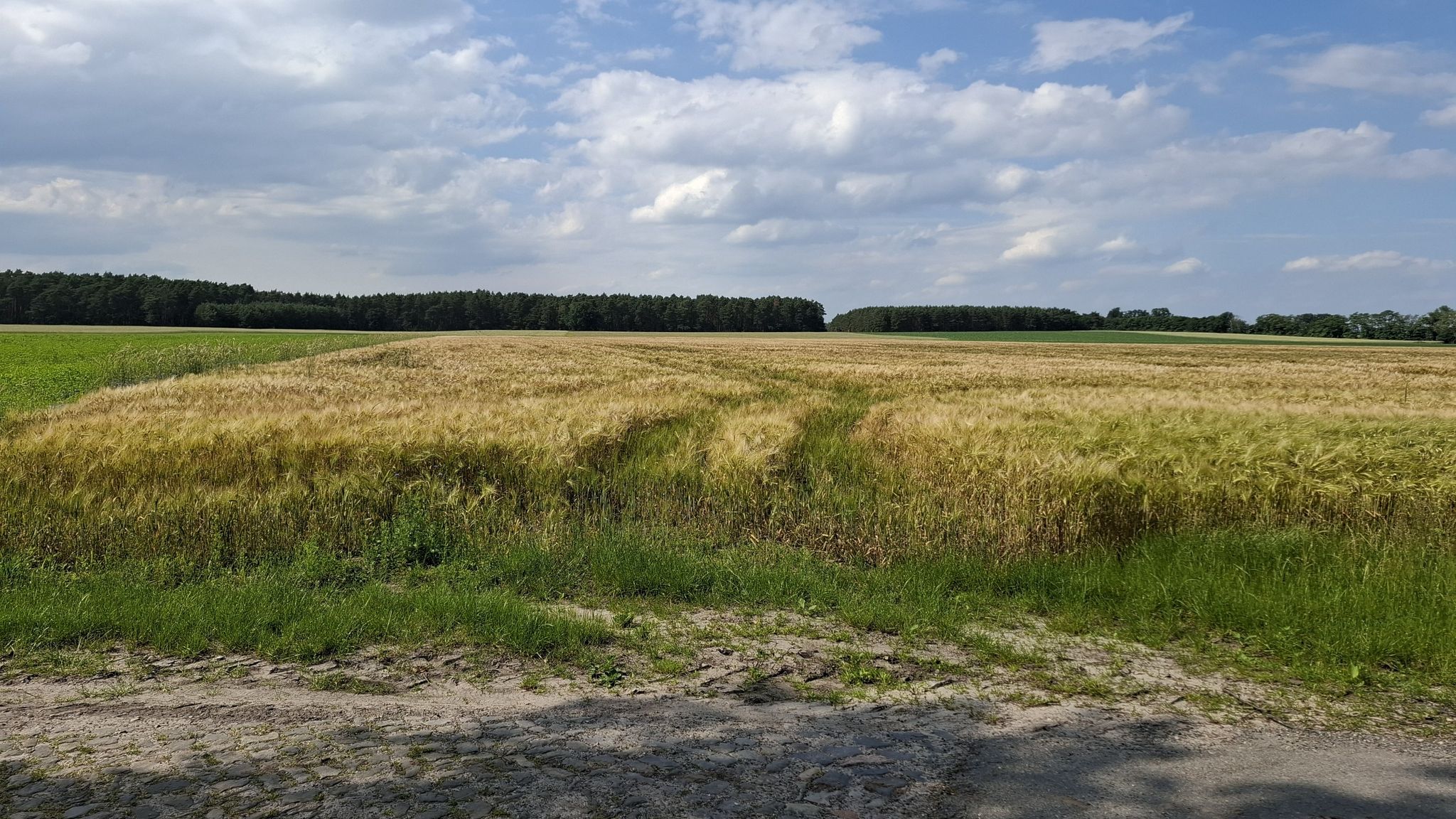 Die Natur 1