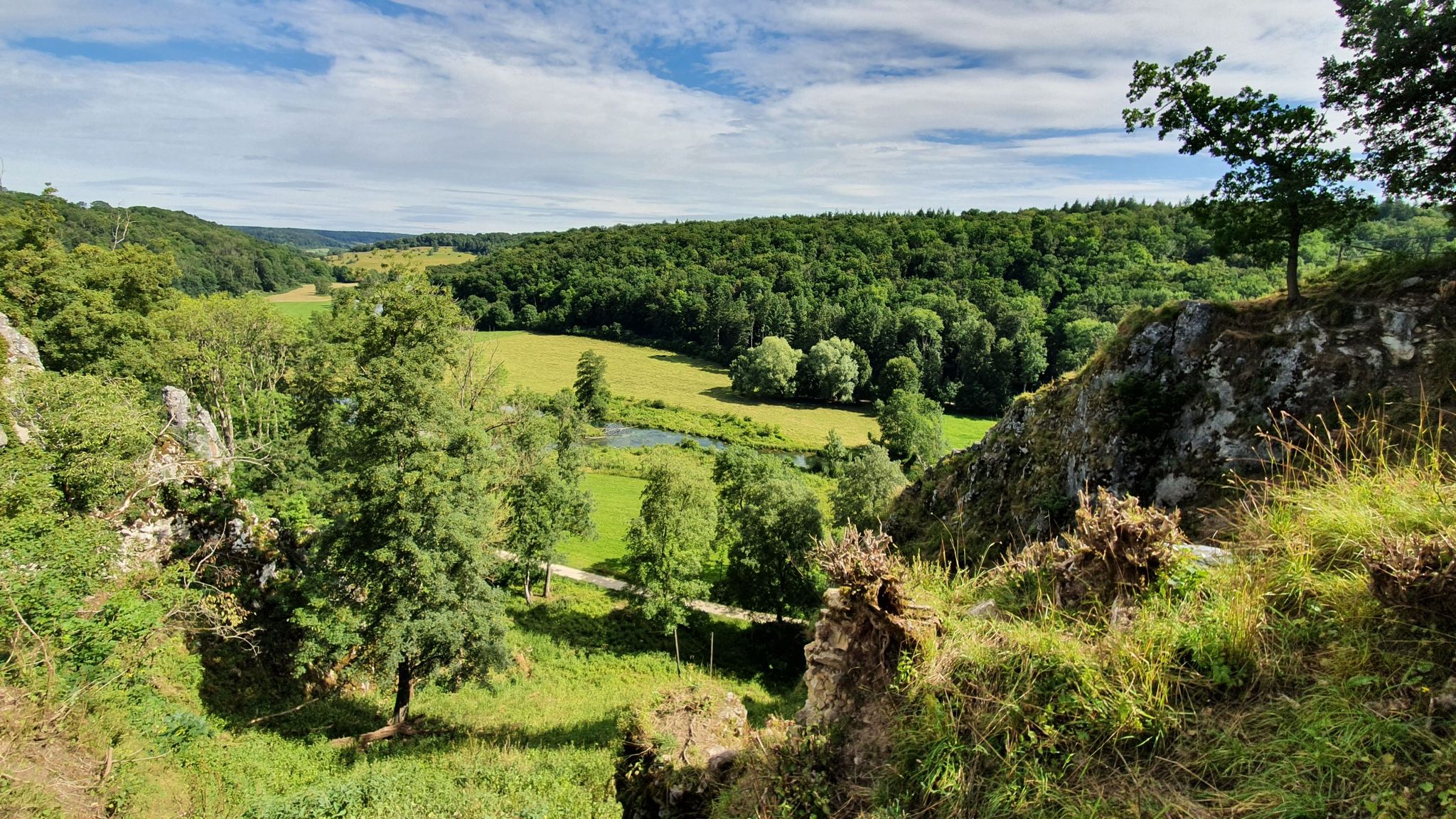 Falkenstein 