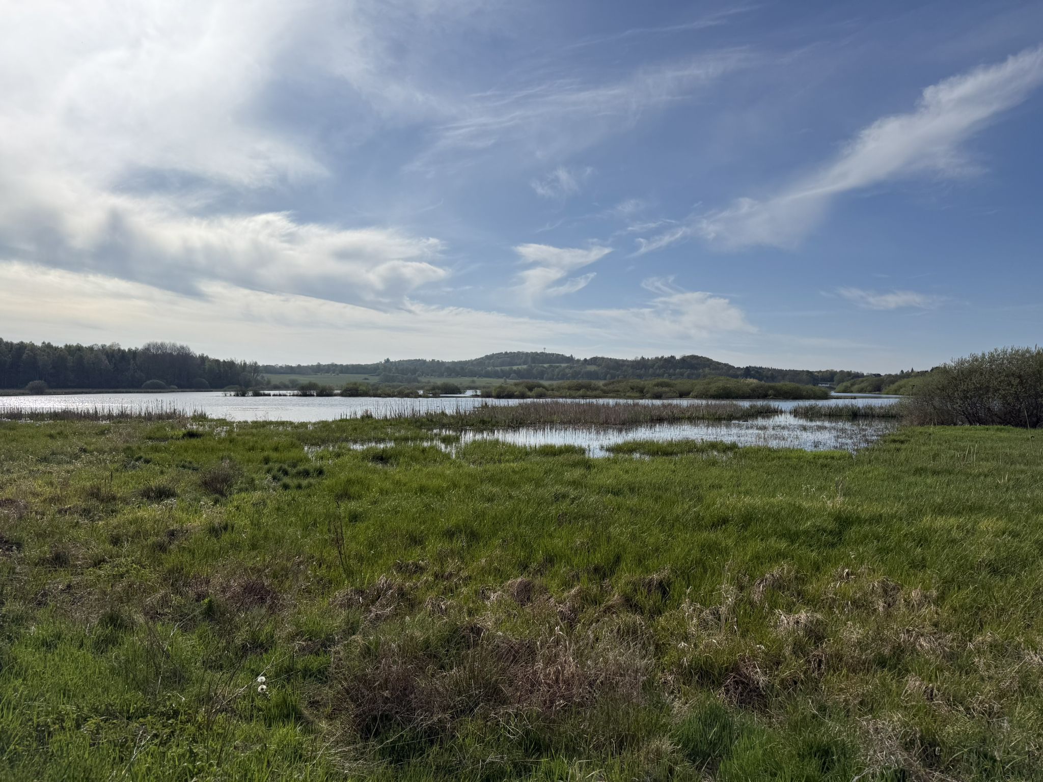 Jungfernweiher