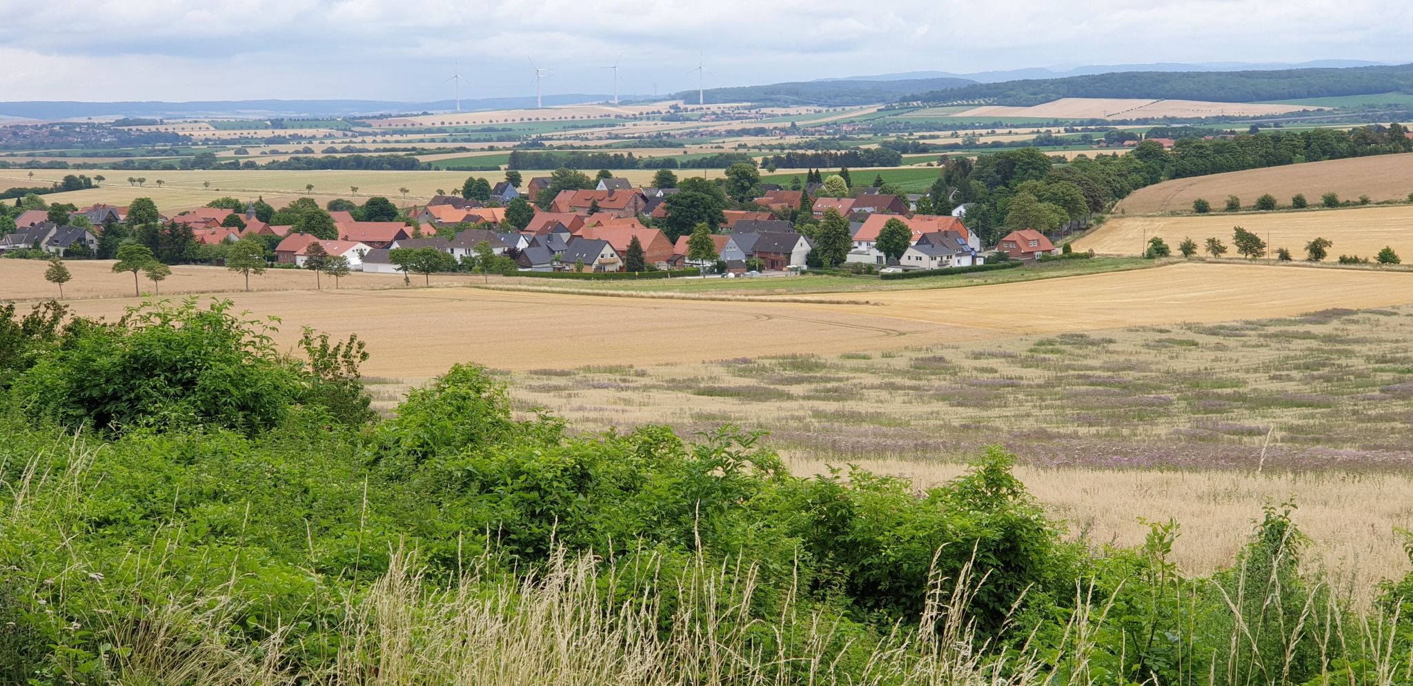 Blick auf Wrisbergholzen
