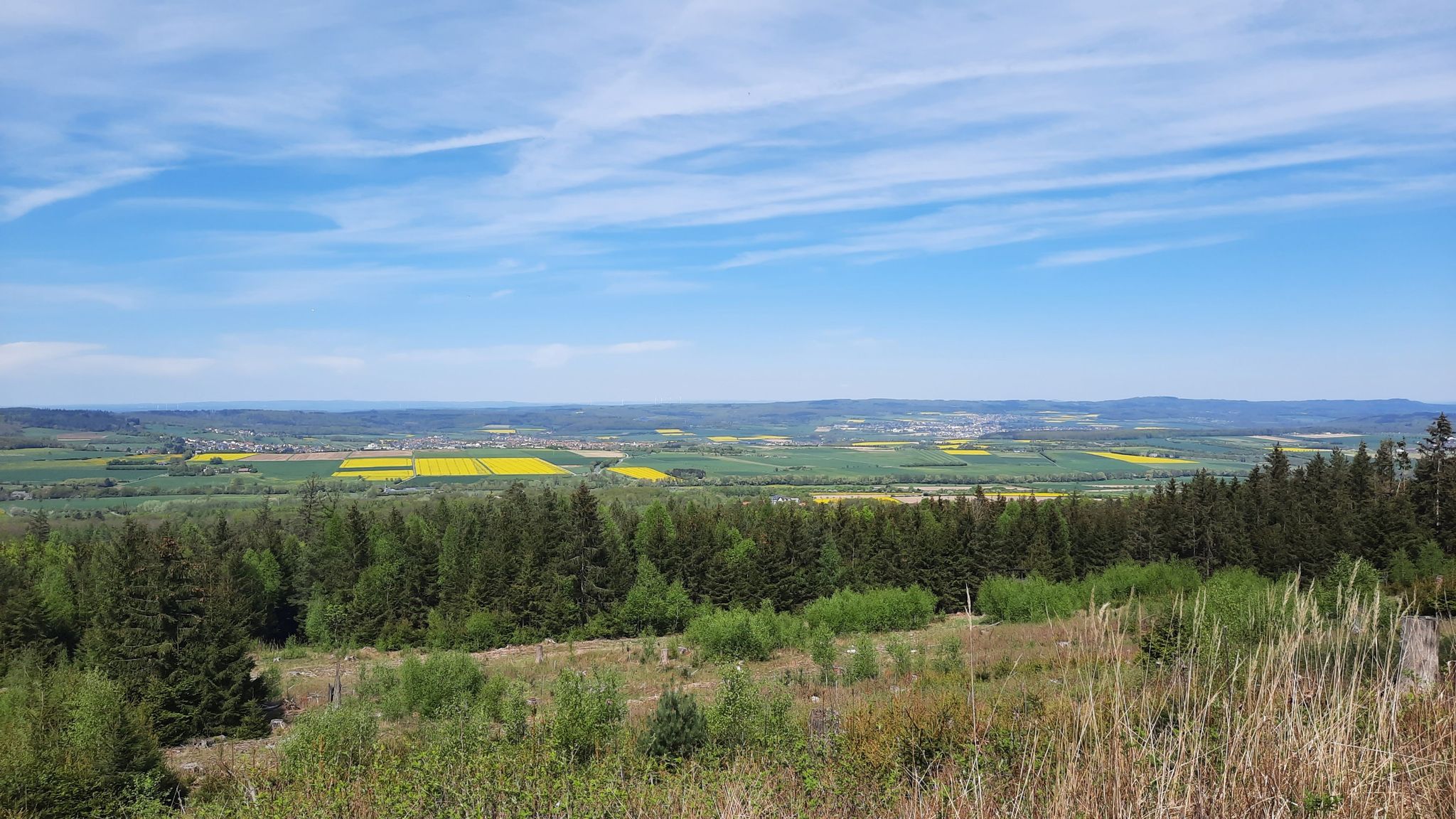 Auf der Saalburgschneise am Kieshübel