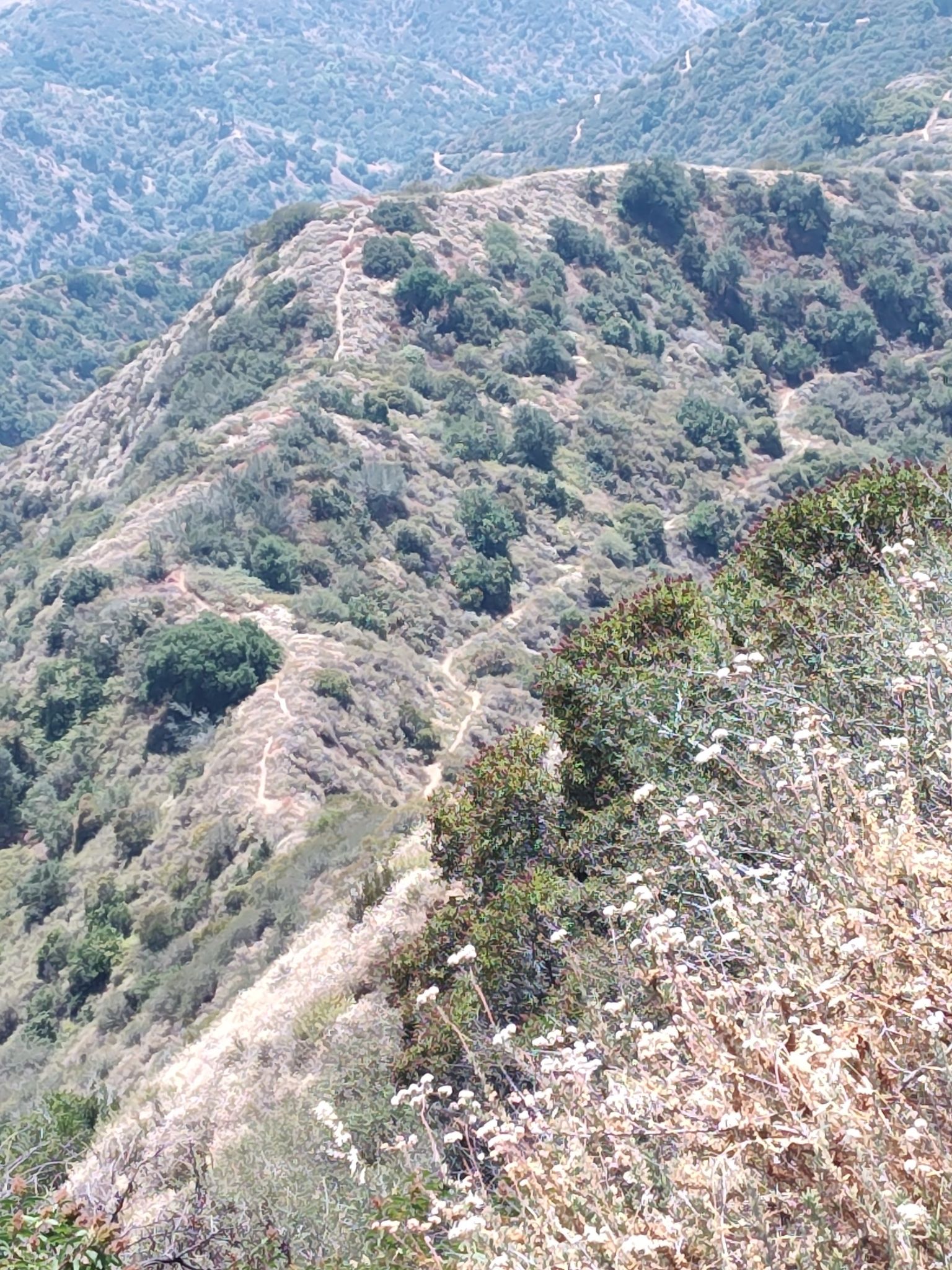 Steep, dry hillside with a winding dirt path and sparse vegetation. - Lower Monroe Truck Trail