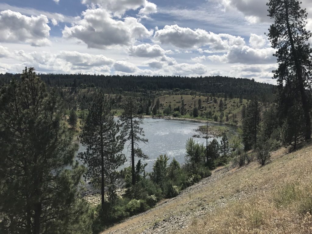 A scenic lake nestled among pine forests and grassy hills under a cloudy sky. - Trail 100 and Spokane Centennial Trail Loop