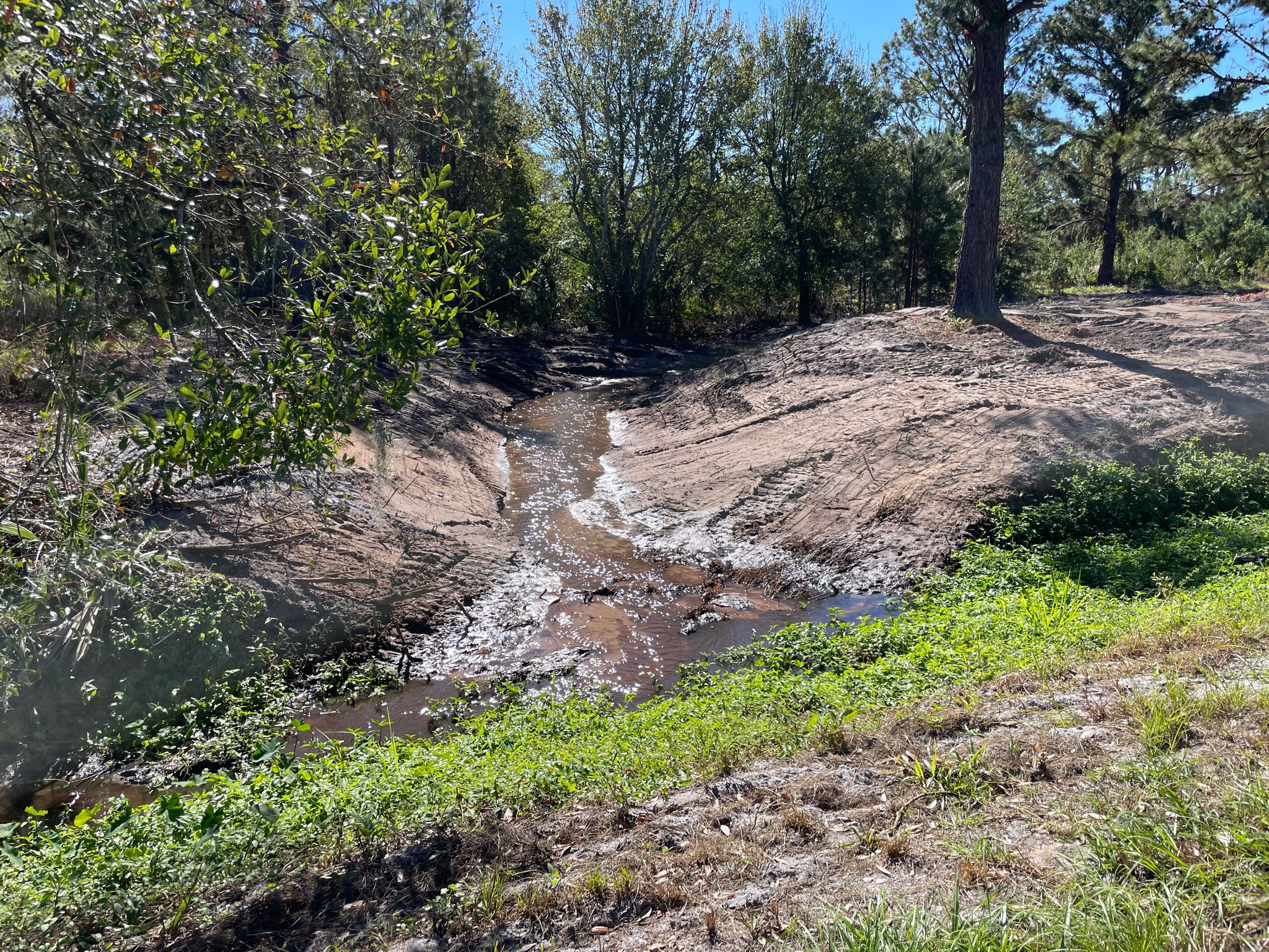 A muddy stream with tire tracks on dirt banks, surrounded by green foliage under bright sun. - Center Loop