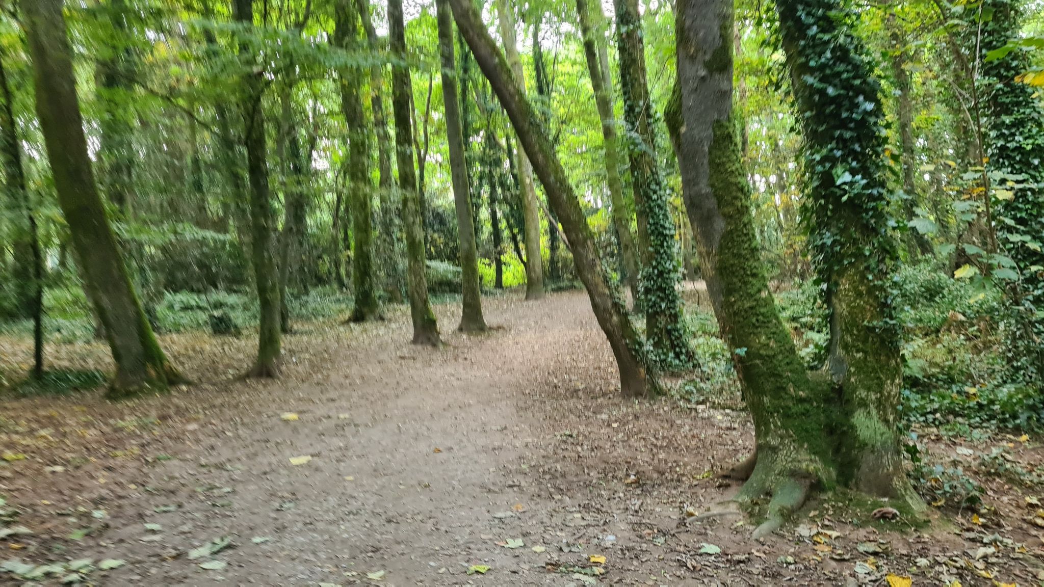 Tehidy Country Park