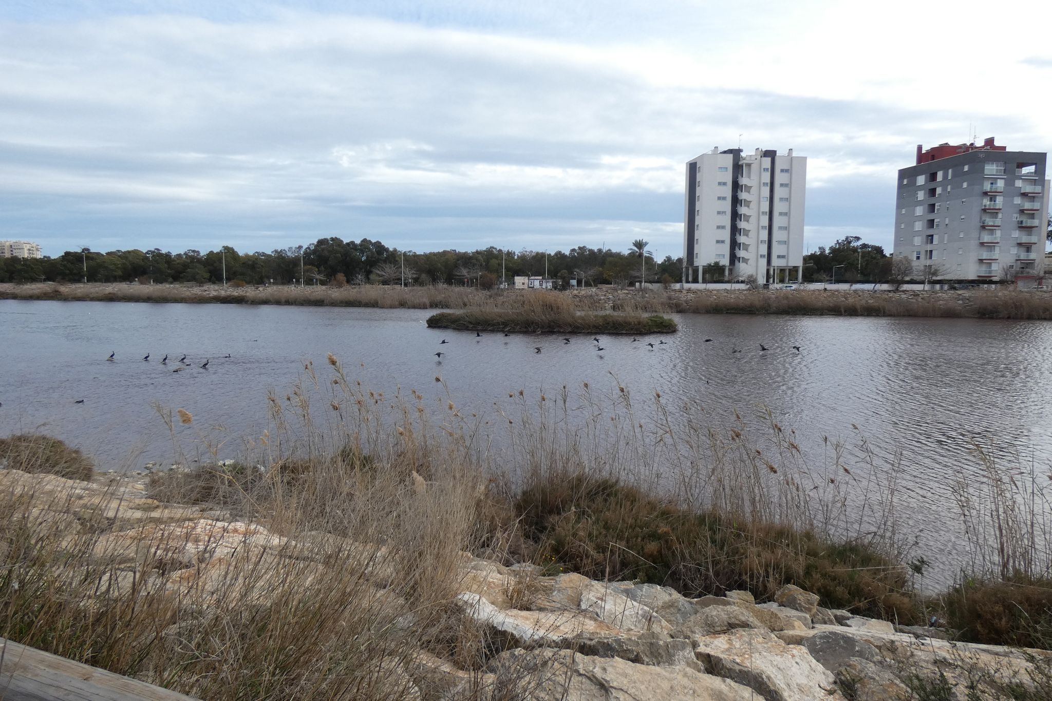 Segura Mündung ins Meer