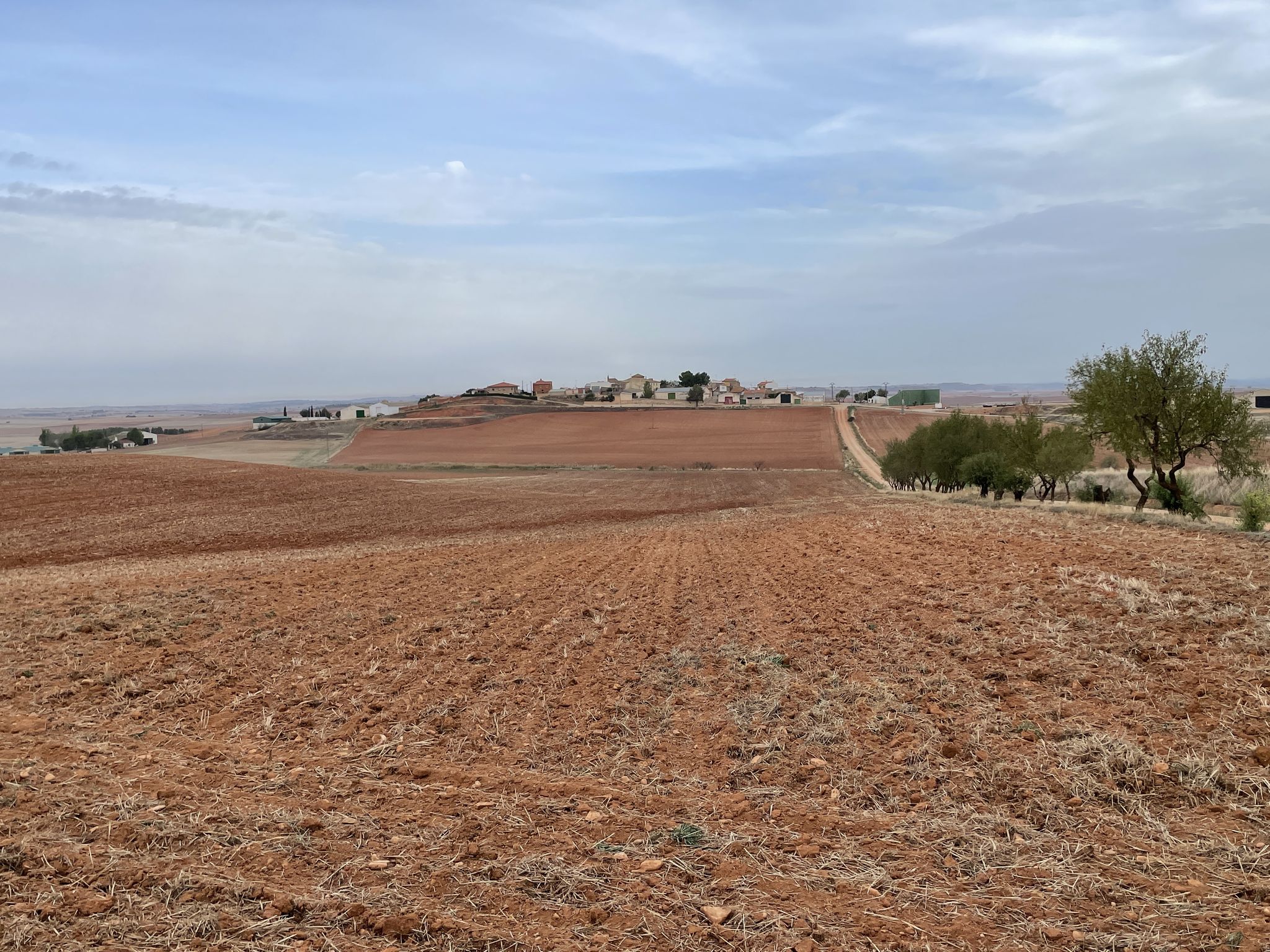 Torrubia desde el camino de la Riera
