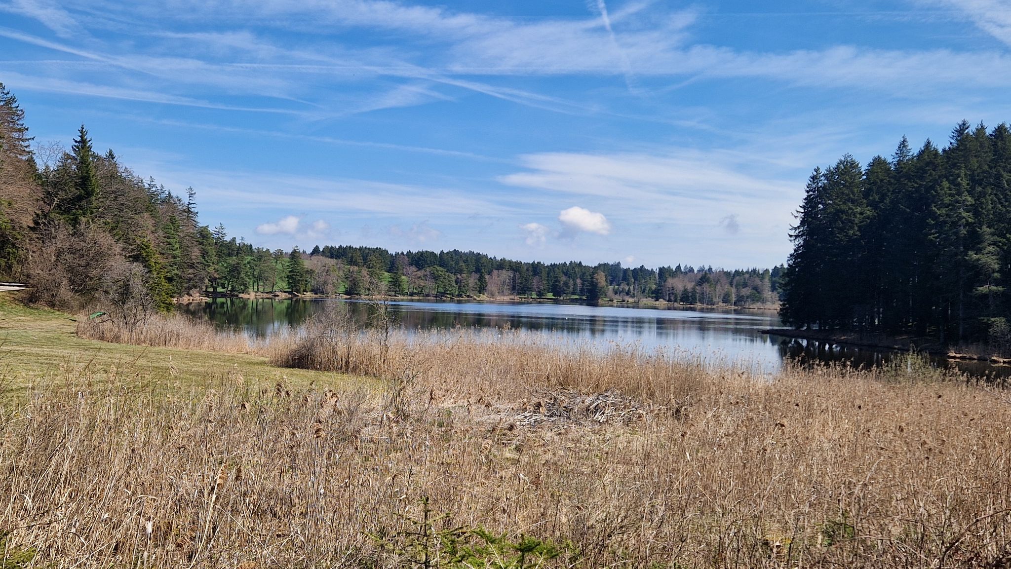 Schmutterweiher