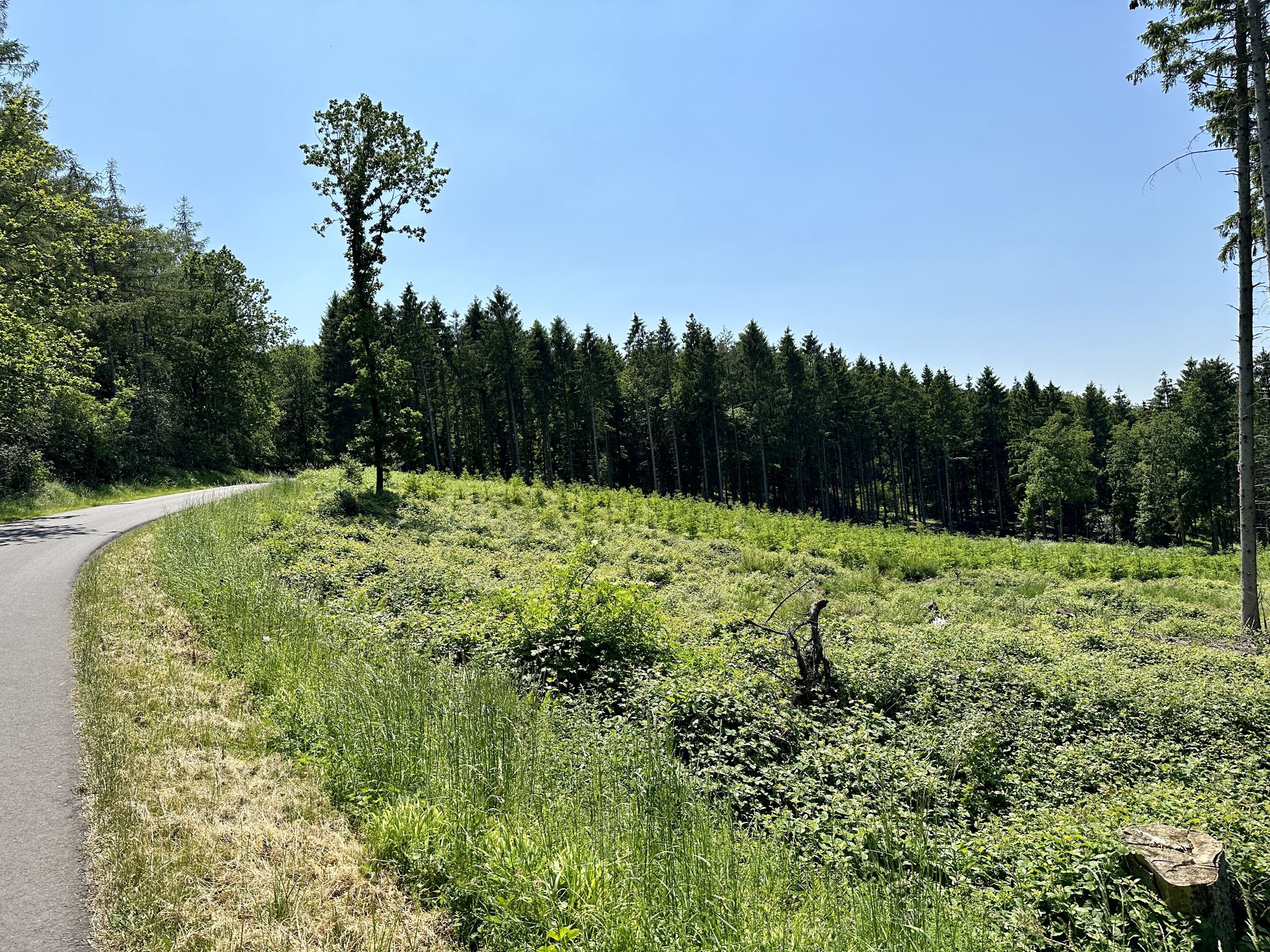 hoch nach Süssendell von Mausbach