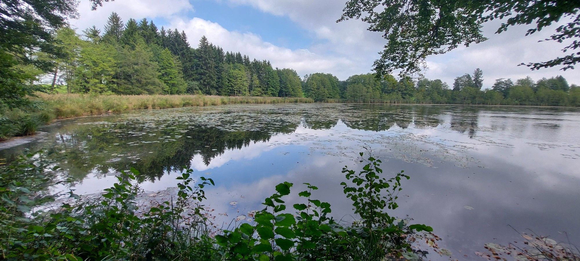 Langwuhrweiher 