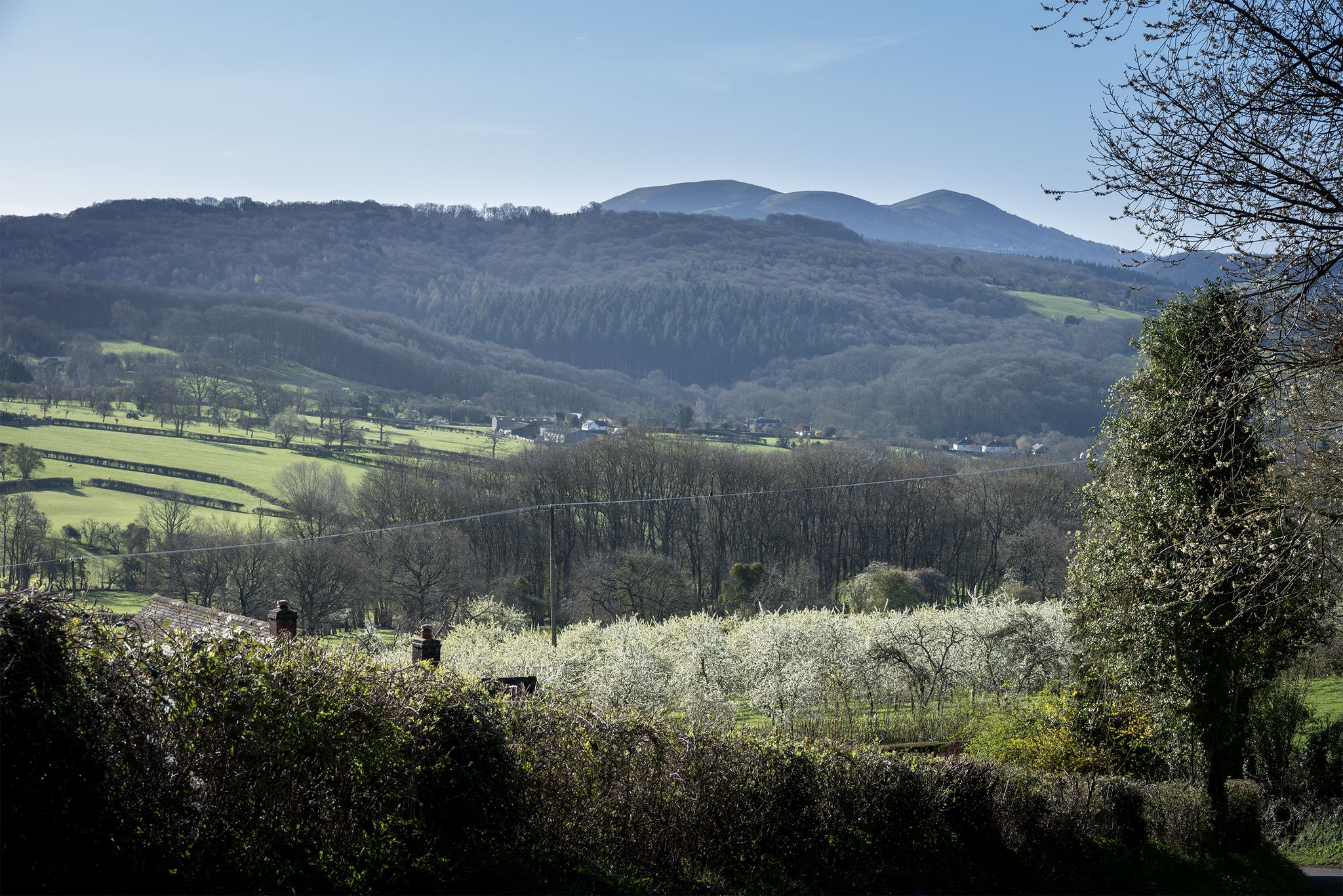 Distant Malverns from Crews Hill