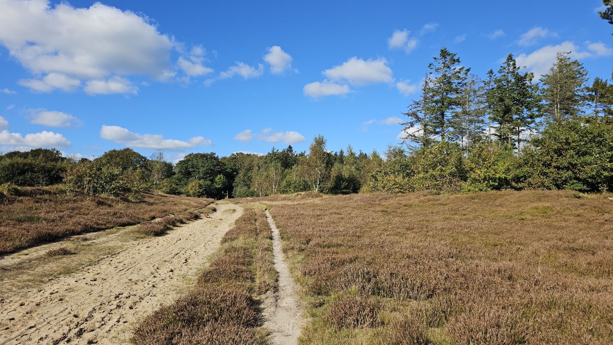 Ochsenweg