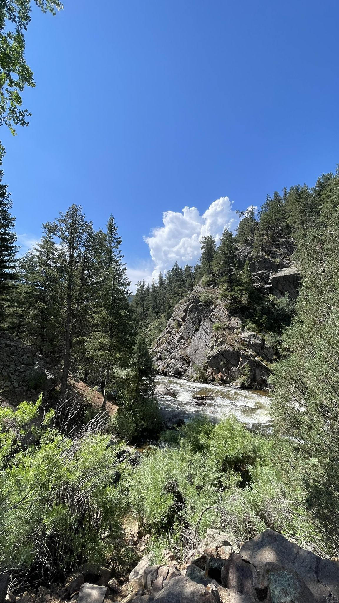 A river rushes through a deep, forested canyon under a bright blue sky. - Walker Ranch Loop Trailhead – Eldorado Canyon loop from Walker Ranch Homestead