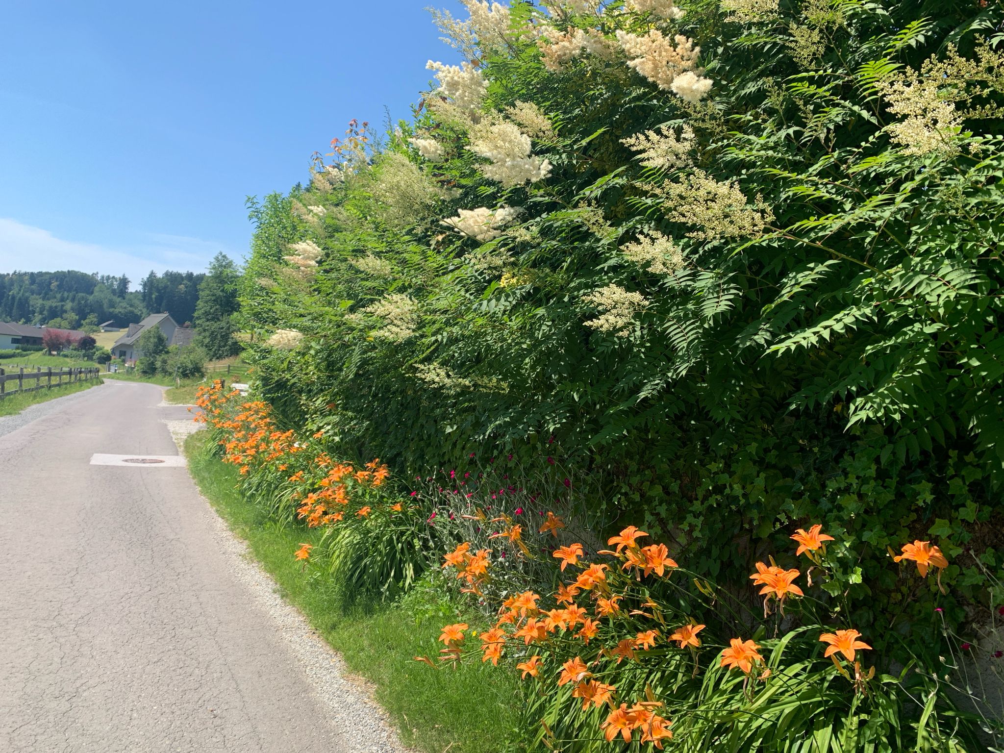 Aschenbachtal