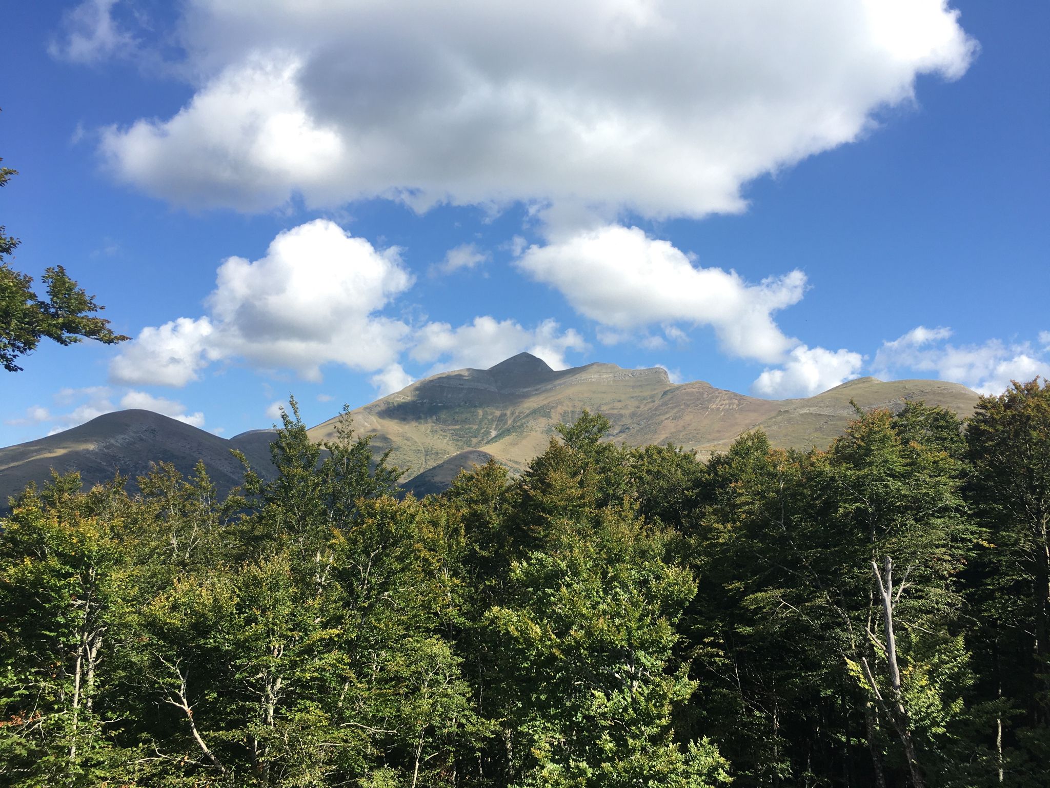 Pico de Orhi