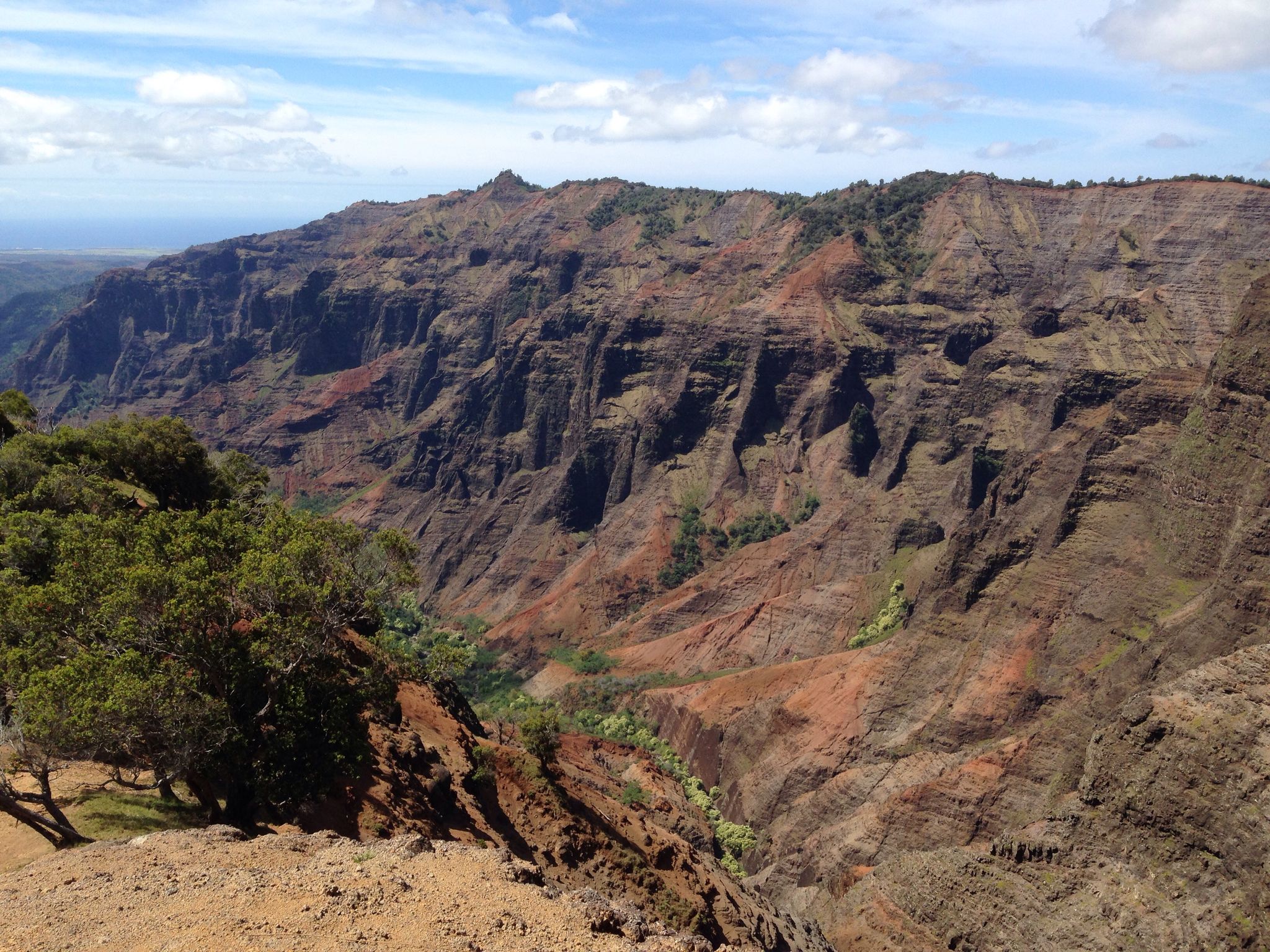 Sunny view of a vast, colorful canyon with green patches and distant ocean. - Pu'u Hinahina Lookout – Rooty Forest Trail loop from Halemanu