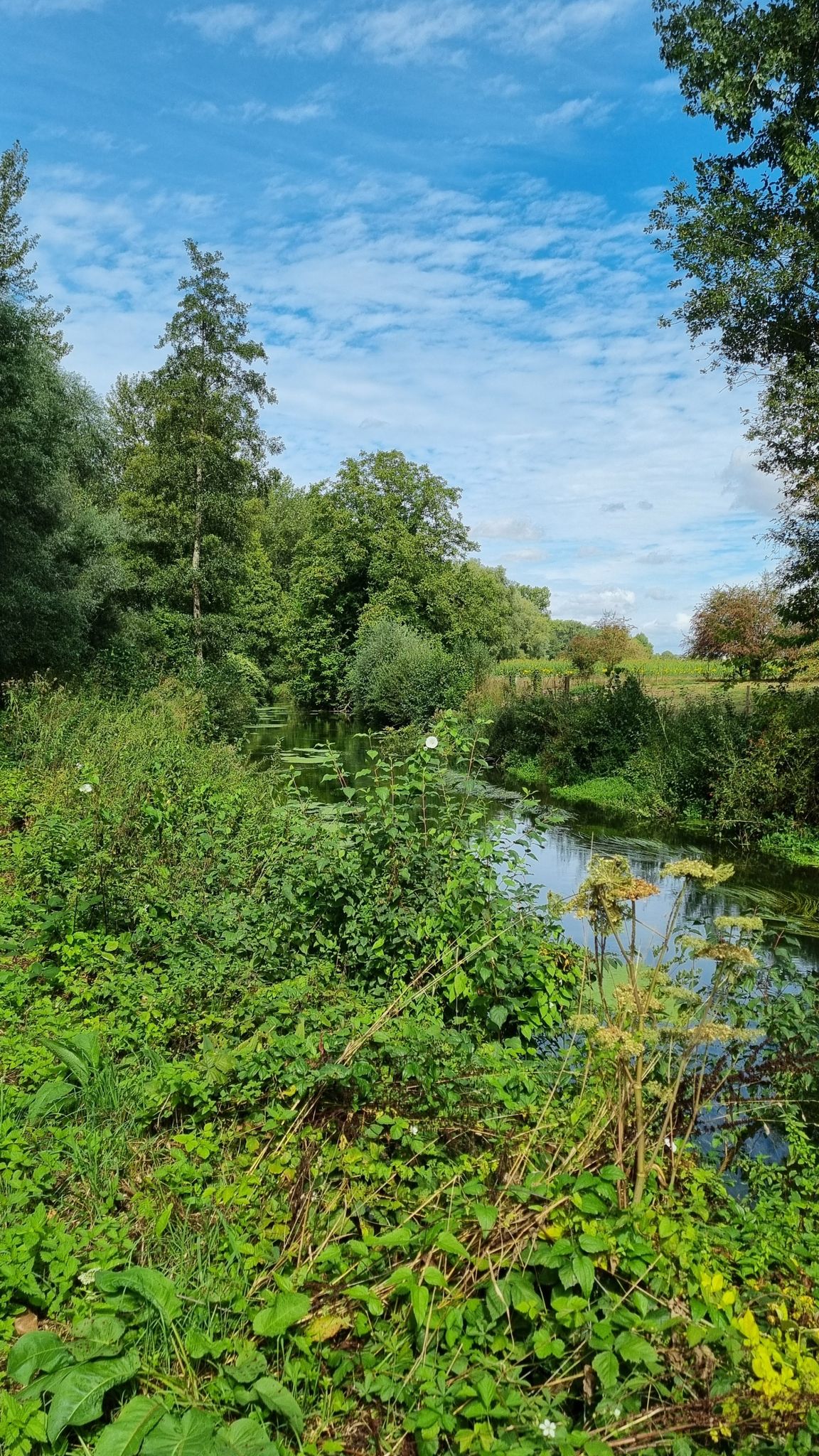 Le long de l'Avre / Along the Avre