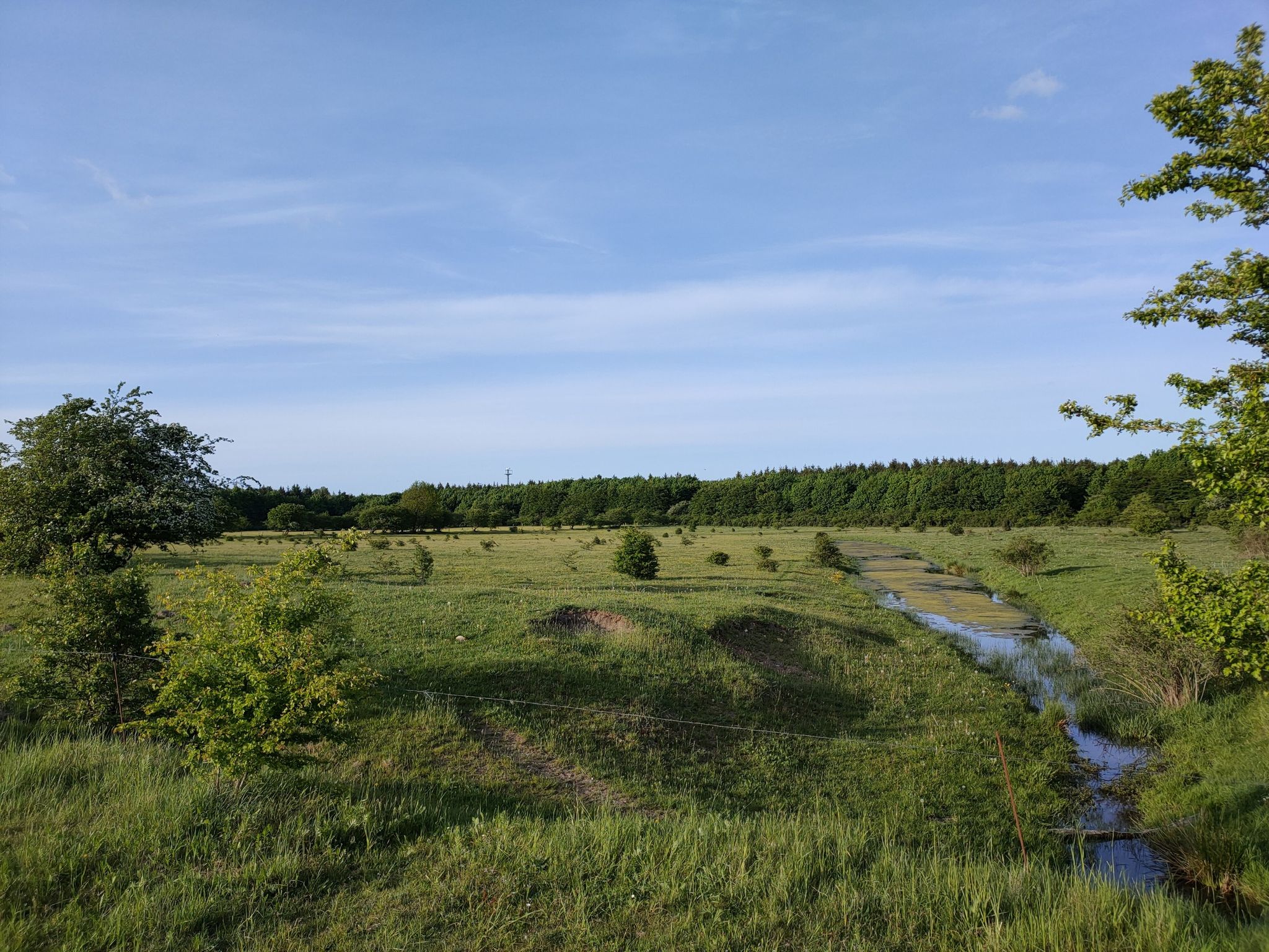 Stiftungsland harisslee