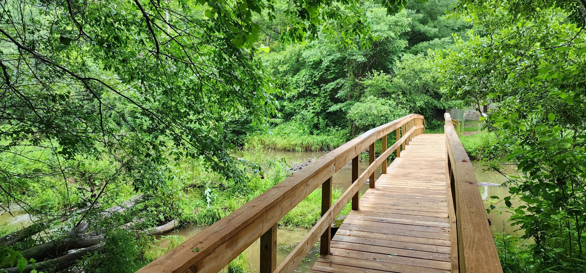Wooden bridge over calm water, surrounded by lush green forest in bright daylight. - Hard Times, Shut-In, and Pine Tree Loop